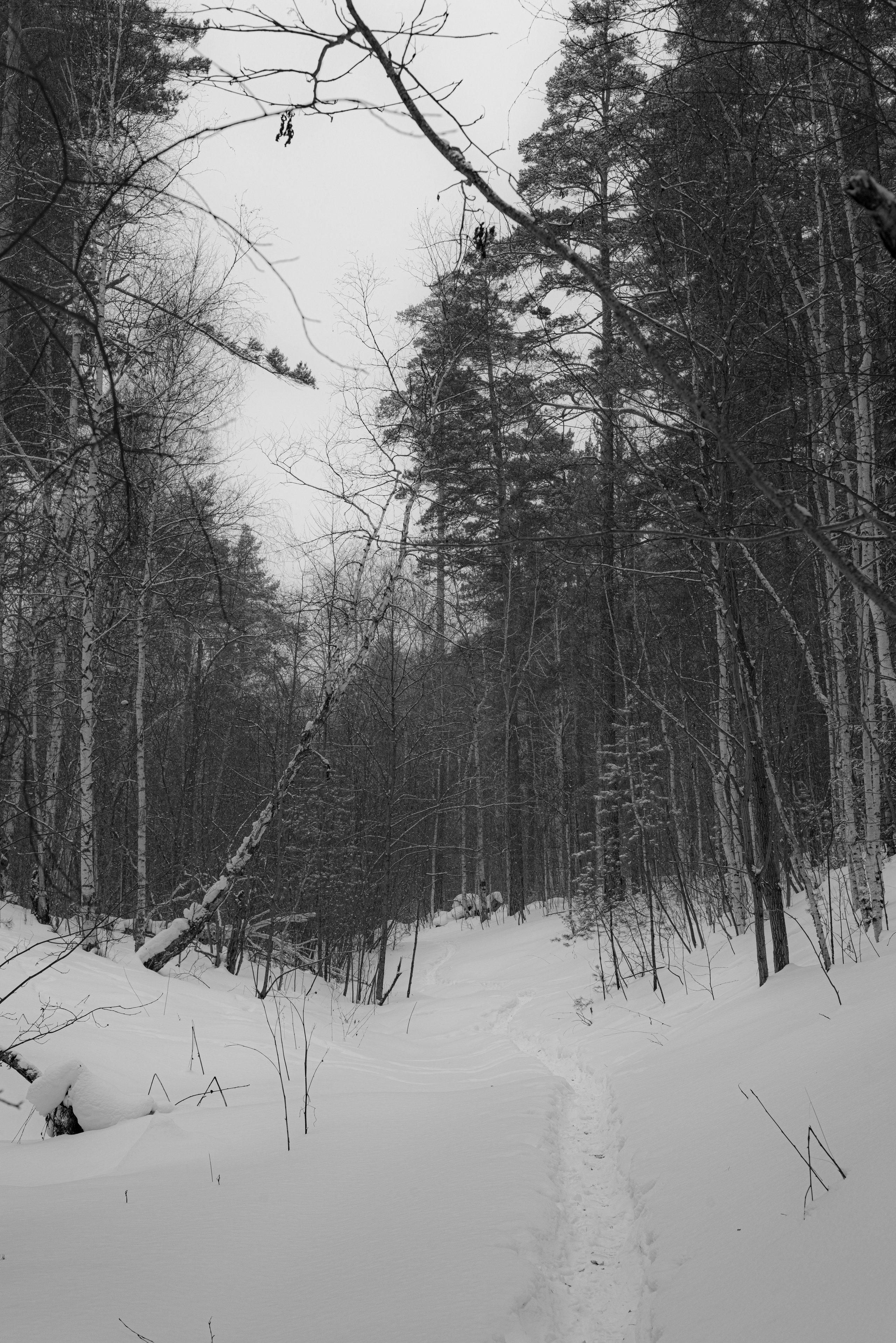 Аракульские Шиханы. январь 2026. Фотограф Евгений Серебряков в Екатеринбурге