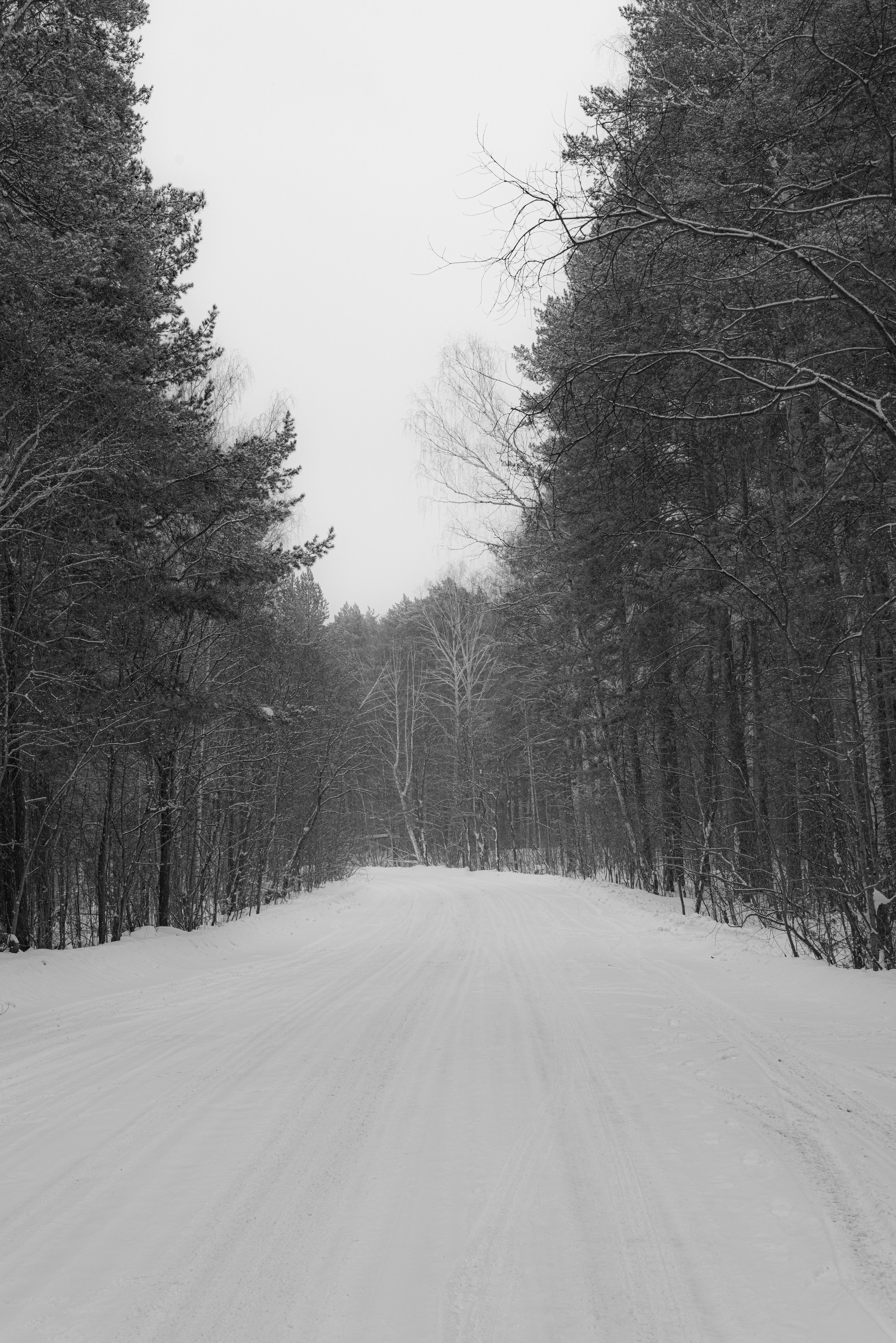 Аракульские Шиханы. январь 2026. Фотограф Евгений Серебряков в Екатеринбурге