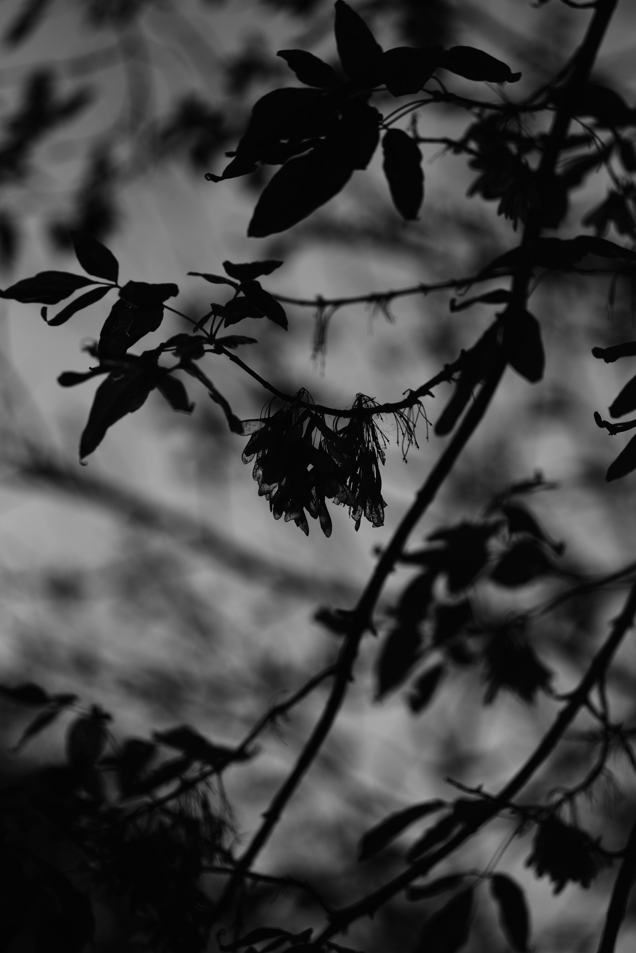 В ритме города. FOTOFAQ SKOOL г. Санкт-Петербург: очные, дистанционные и онлайн курсы фотографии