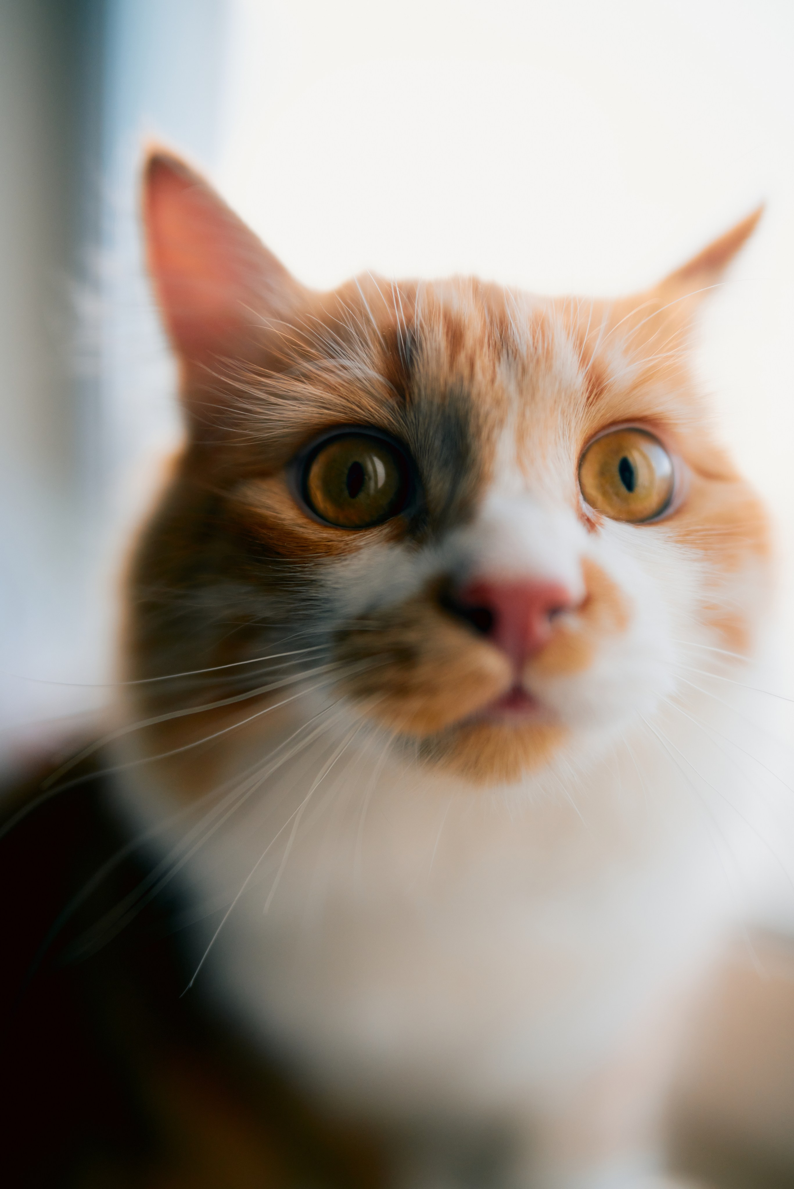 Антон Арнольд | Фотограф Минск