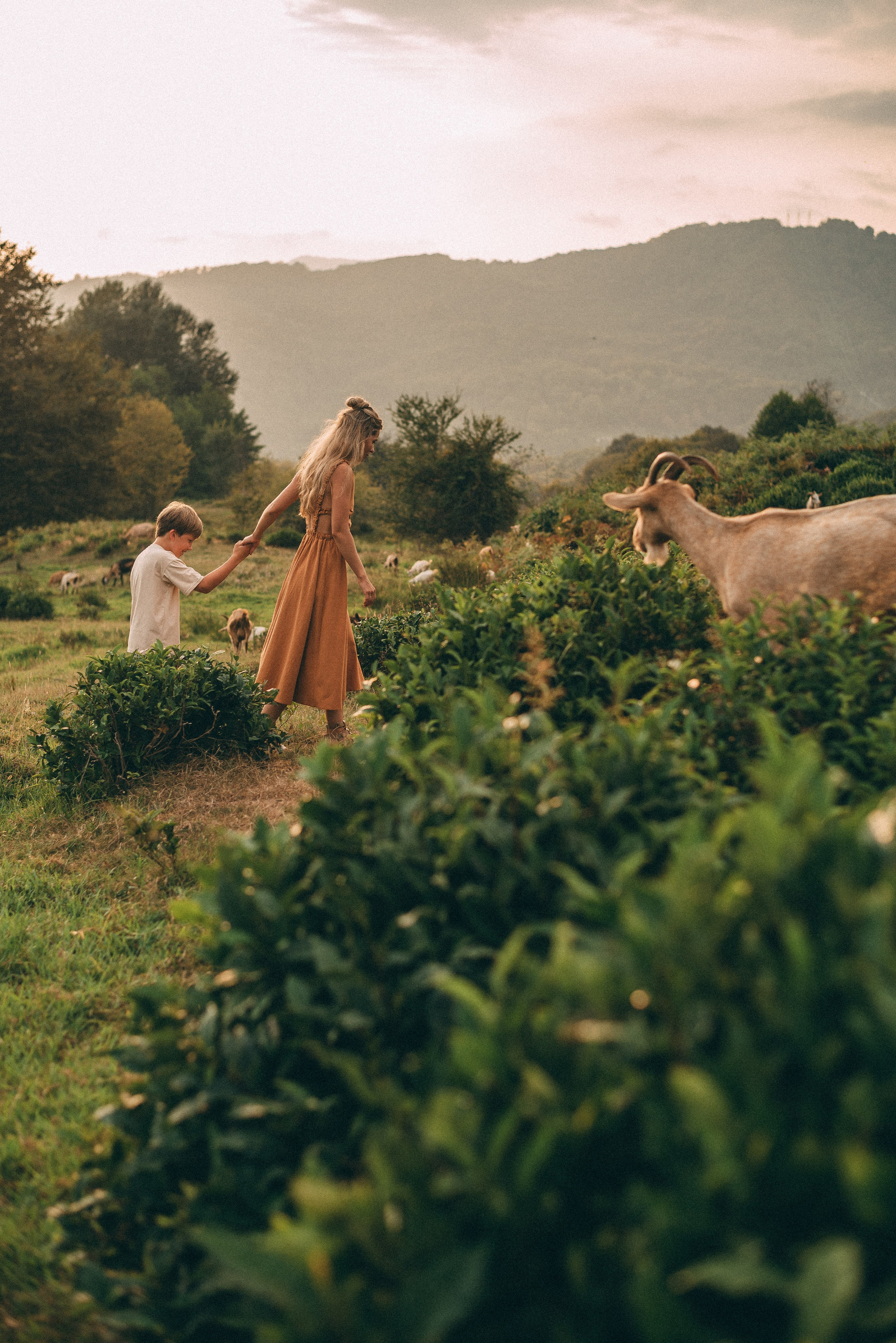 Фотосессия на чайных плантациях Сочи. Фотограф в Сочи — Маргарита Поганова