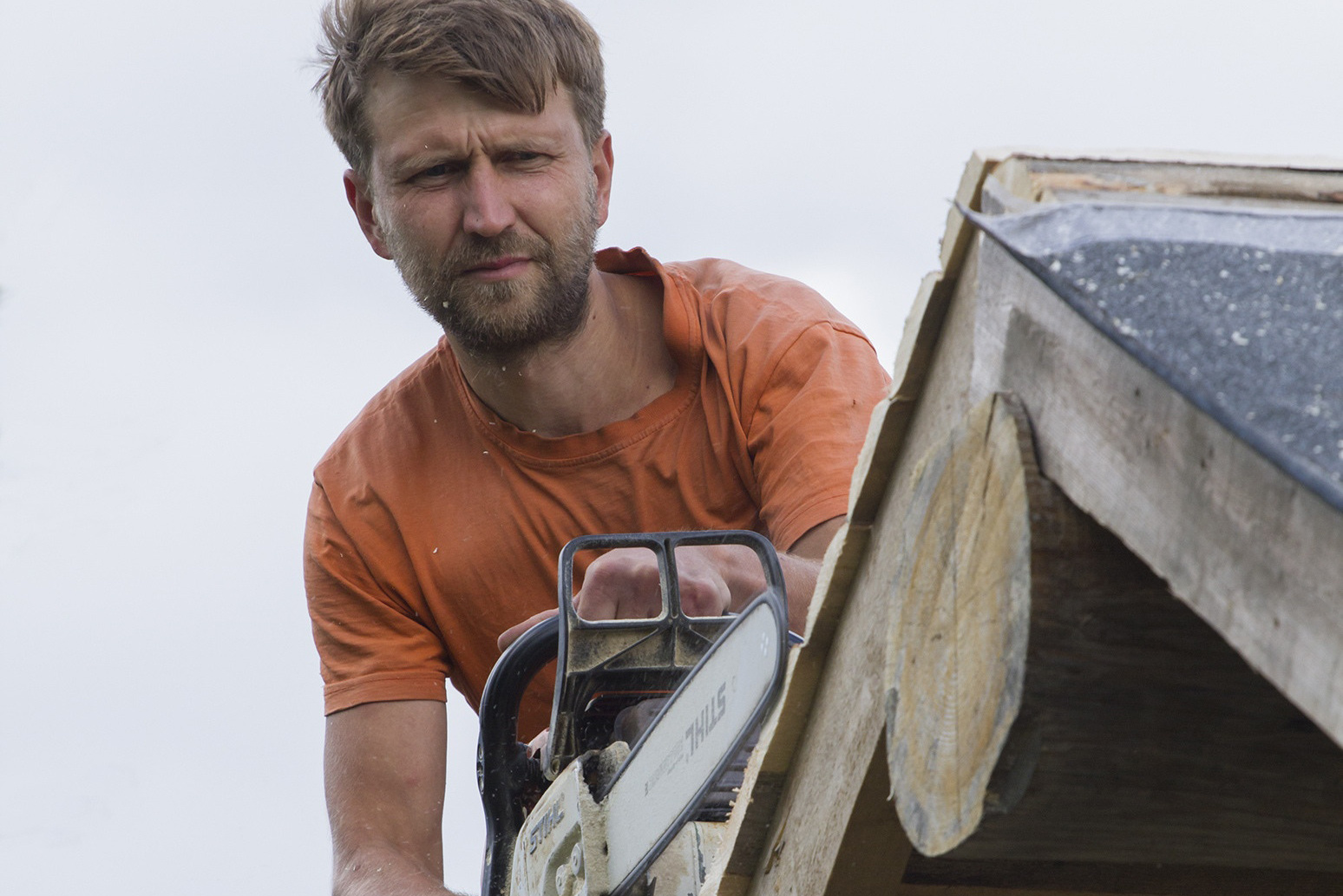 Наша команда сейчас. Новое Старое — русское деревянное зодчество