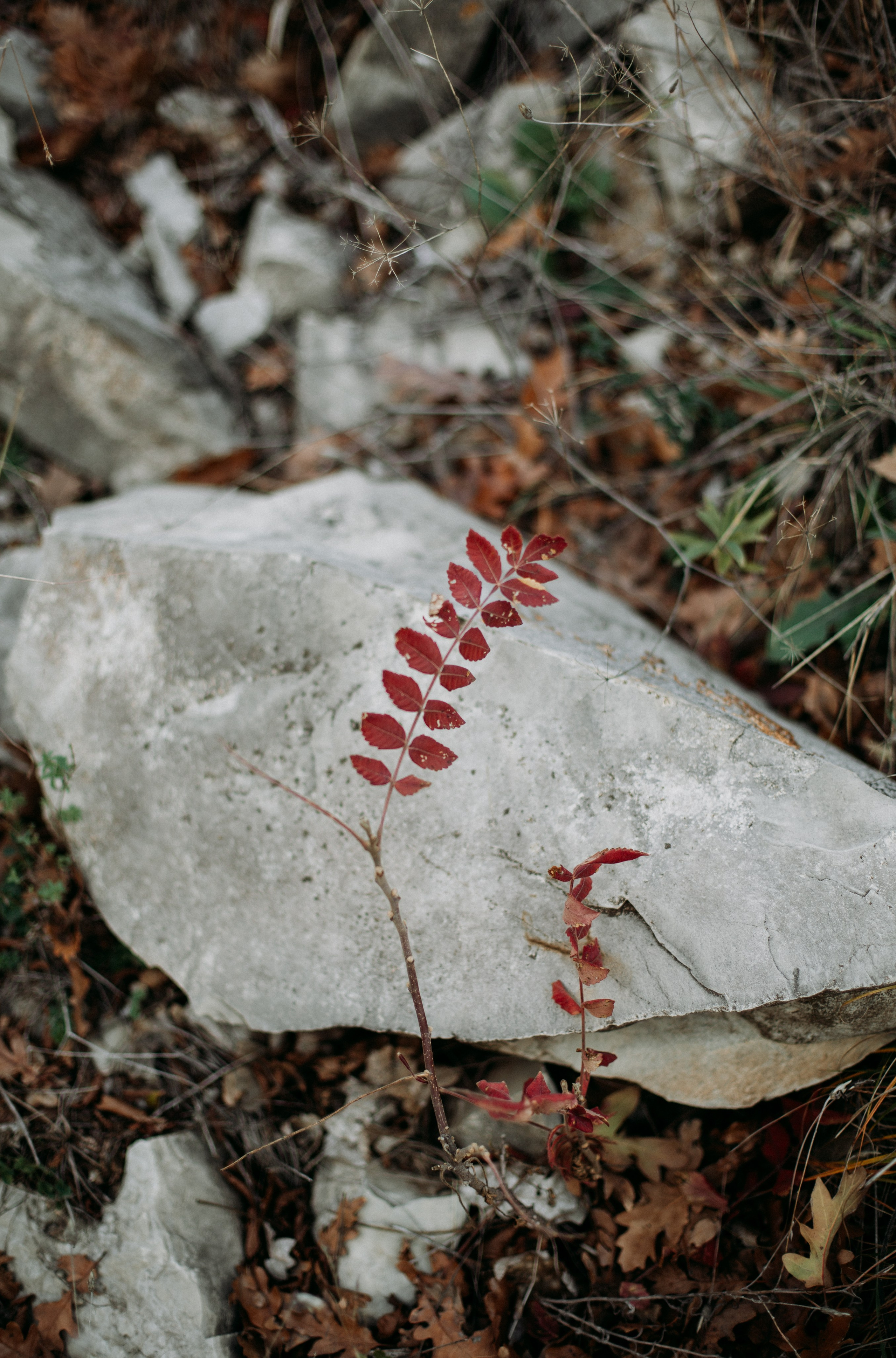 Дороги земли ветров. Портретный фотограф в Москве и Геленджике Кирилл Вахитов