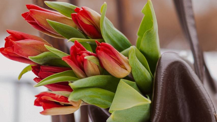 Свадебный и Семейный фотограф Петербург и Гатчина Маргарита Федорова