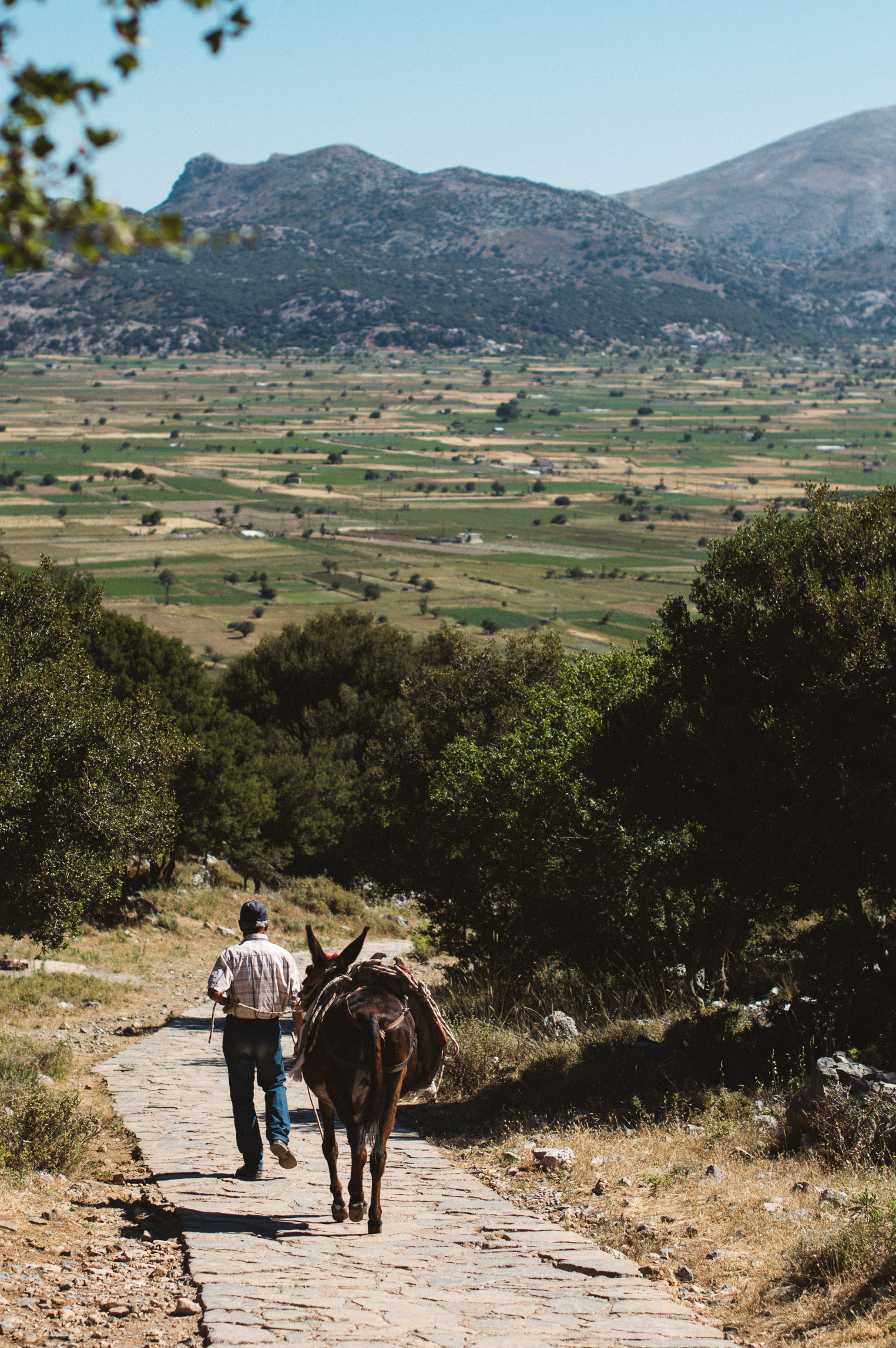 Travel. Главная