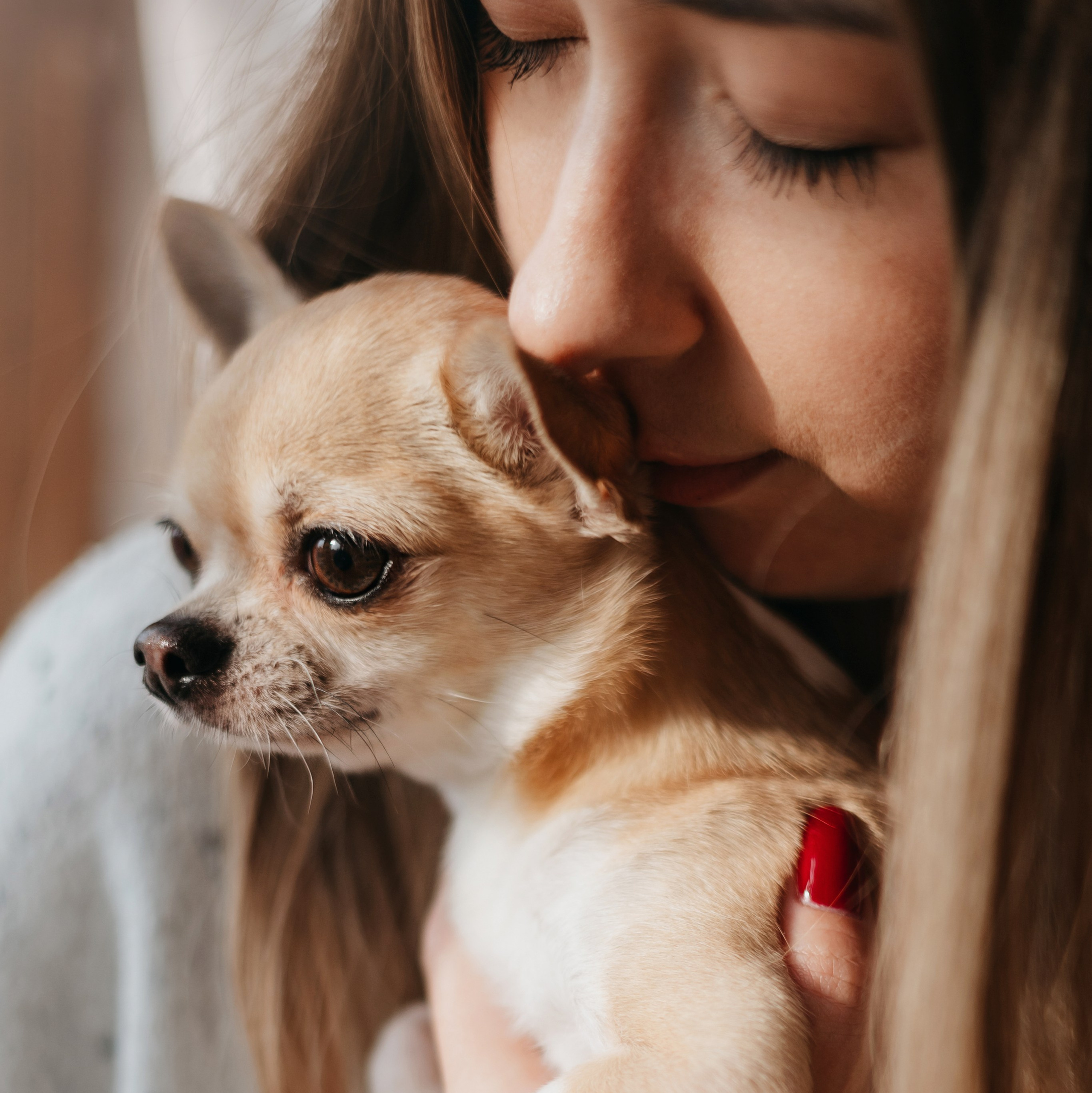 Контакты. Фотограф — анималист Владивосток, Алина