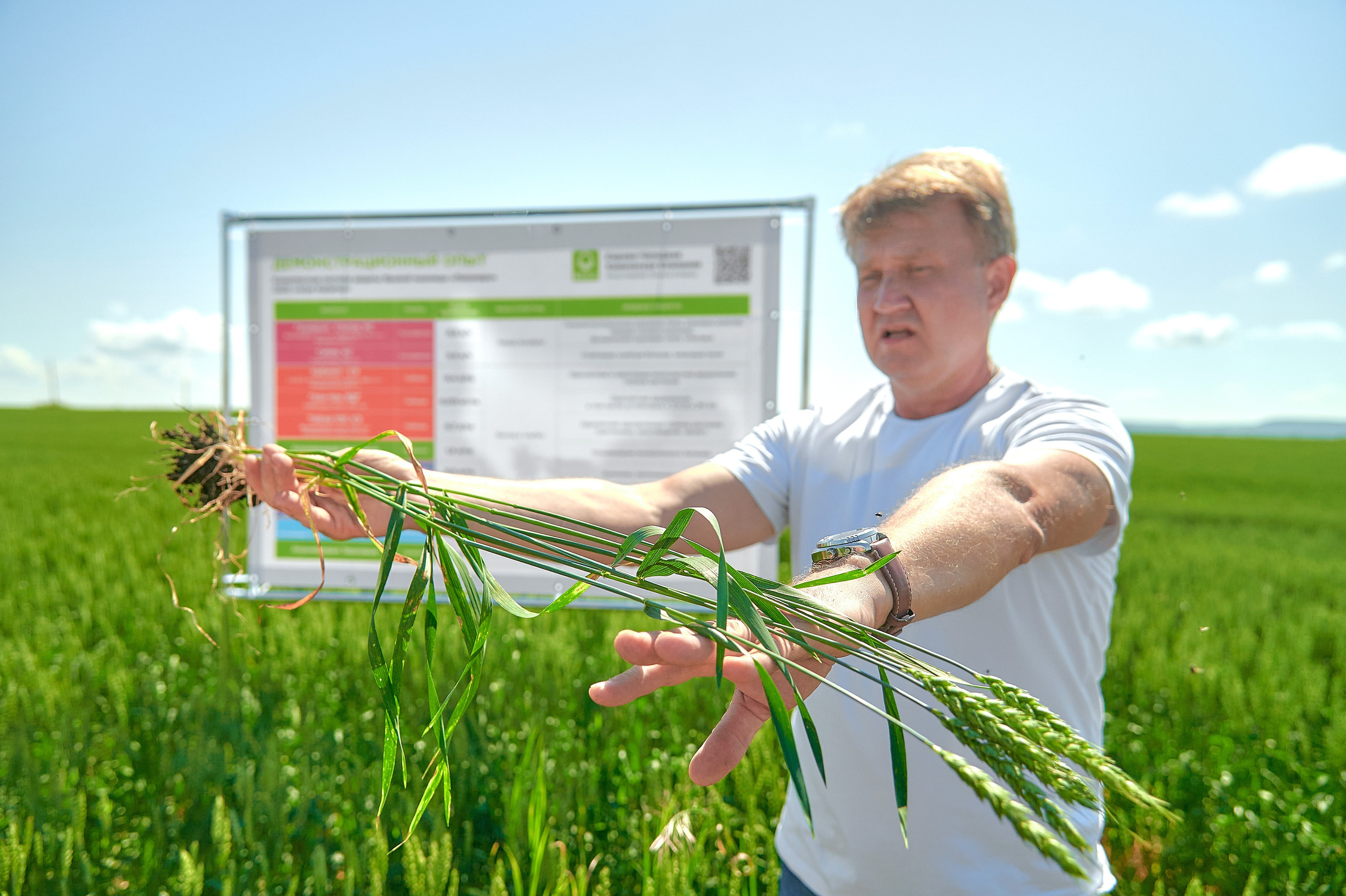 Репортажная фотосъёмка: услуги фотографа Красноярск. Фотограф Яковлев Роман — Красноярск