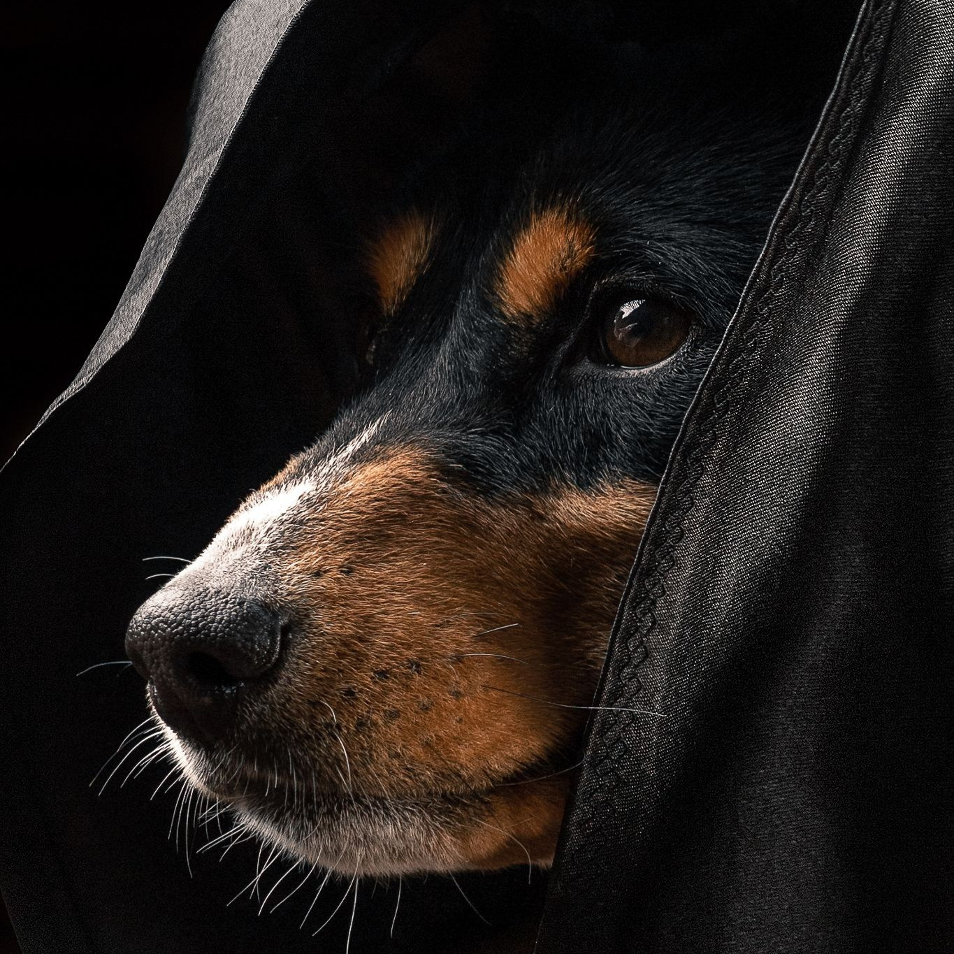 Условия и цены. Портретный, интерьерный и фуд фотограф в Перми Иван Вострецов