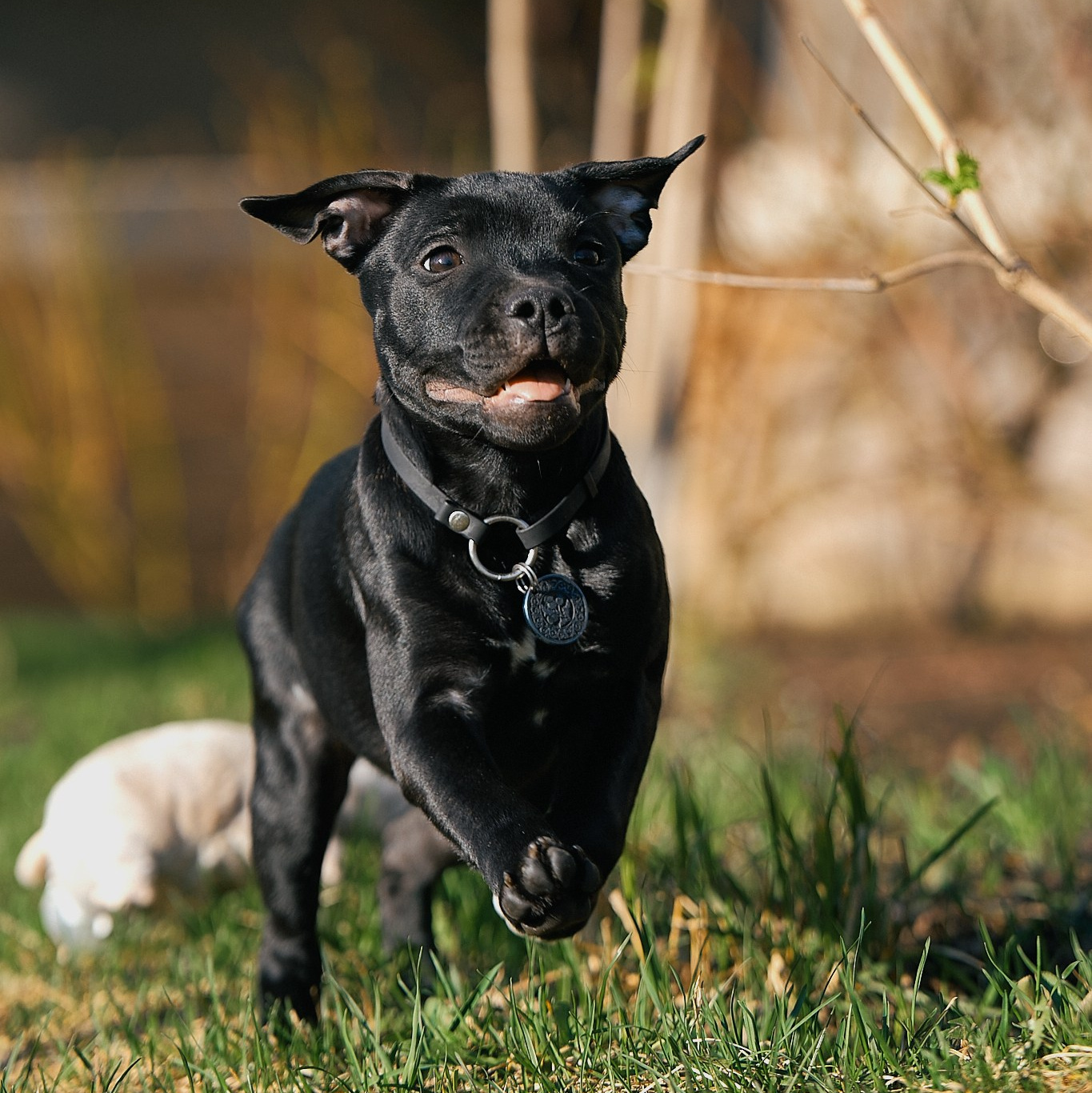 Контакты. Главная