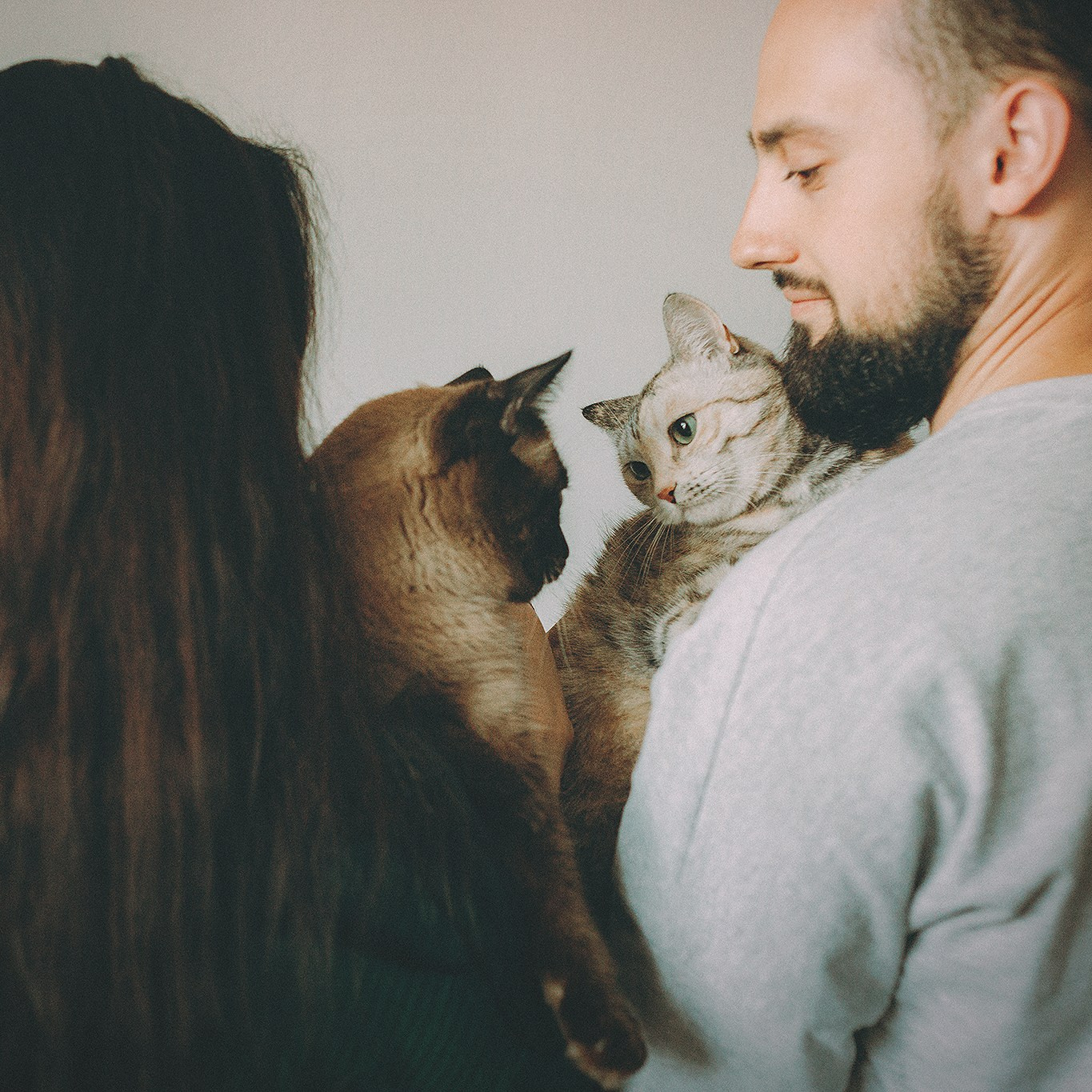 Стоимость. Фотограф-анималист • love-story • Санкт-Петербург