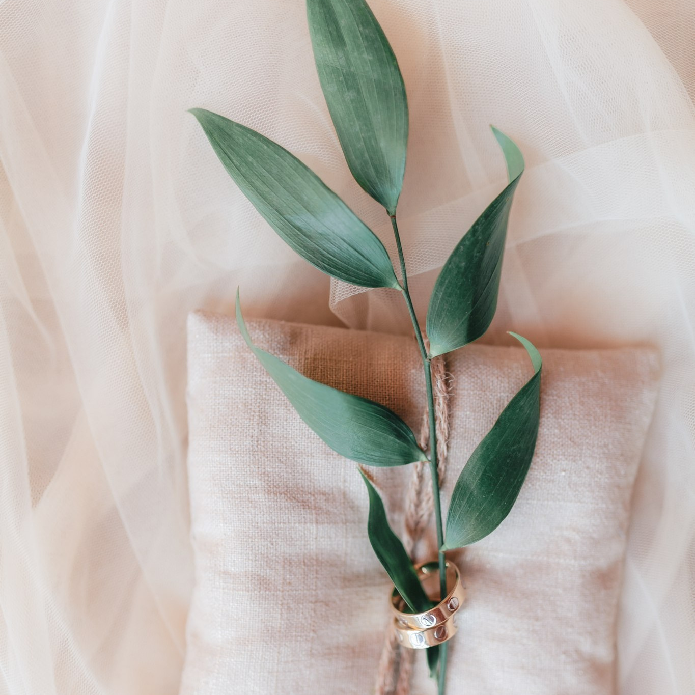 Цены на свадебную фотосессию в Краснодаре