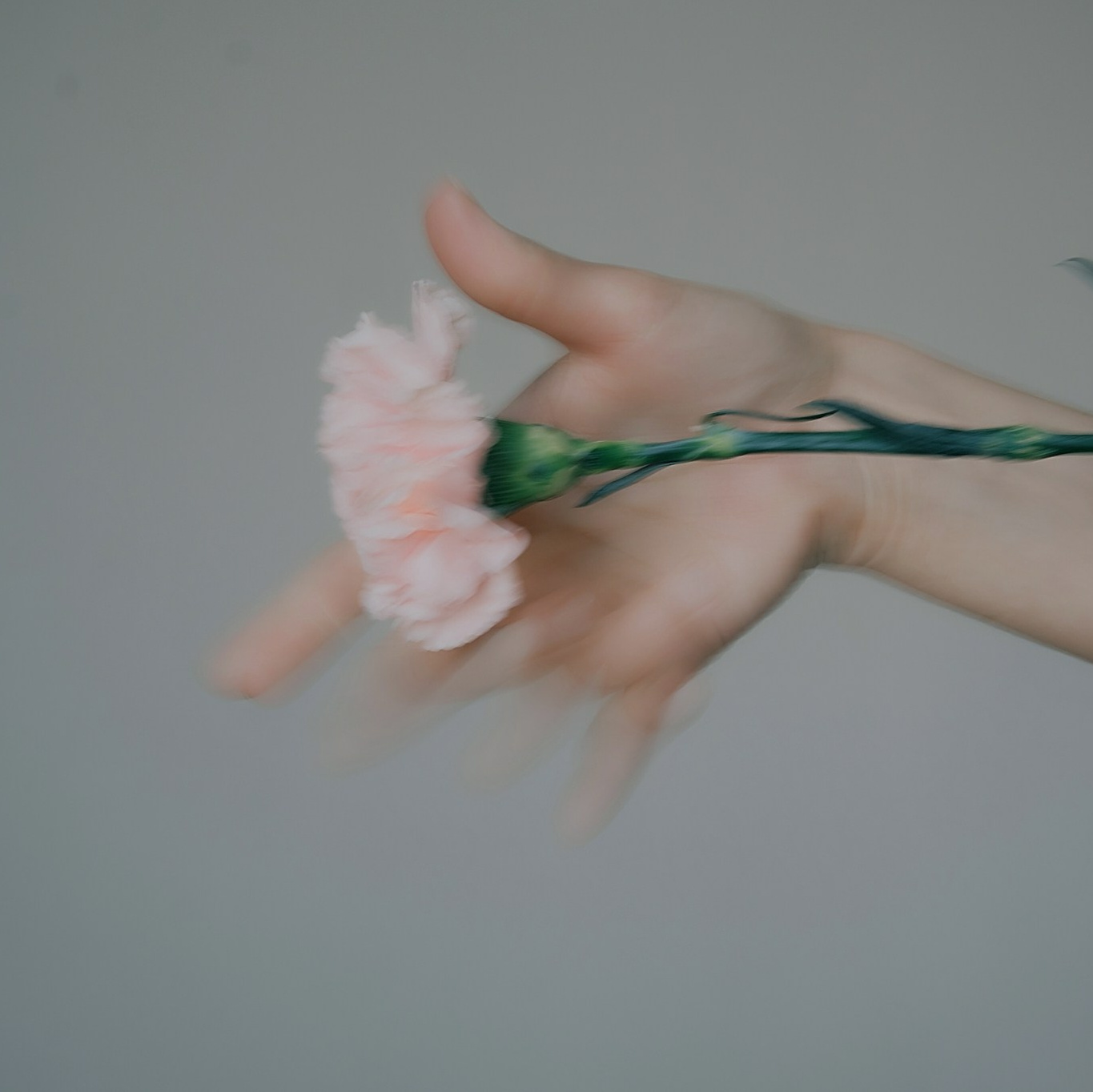 Портретный фотограф Барнаул , фотосессия Барнаул , портретная съемка Барнаул , портретная съемка в профессиональной студии