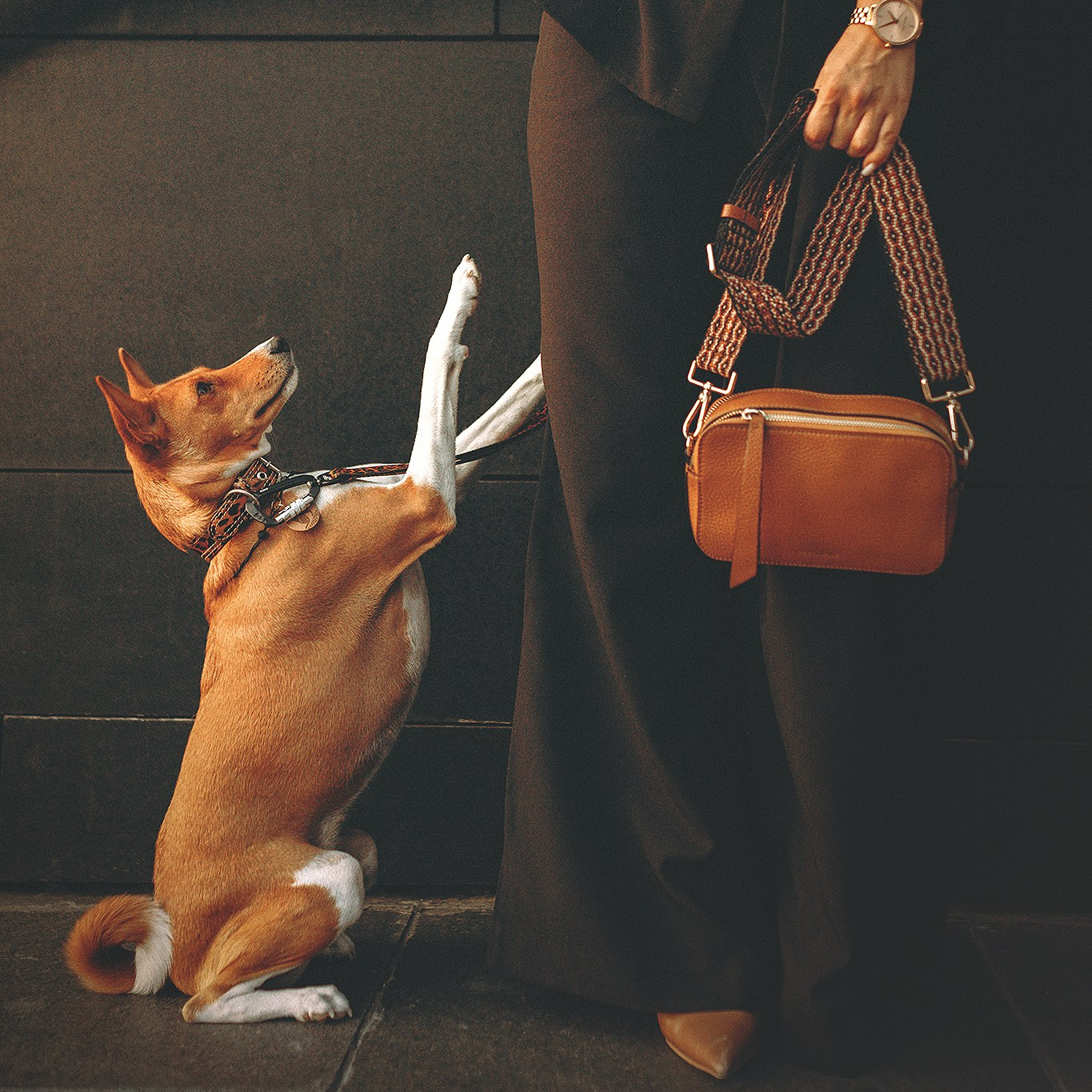 Стоимость. Фотограф-анималист • love-story • Санкт-Петербург