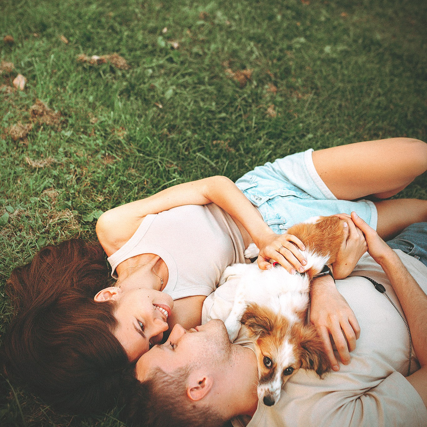 Стоимость. Фотограф-анималист • love-story • Санкт-Петербург