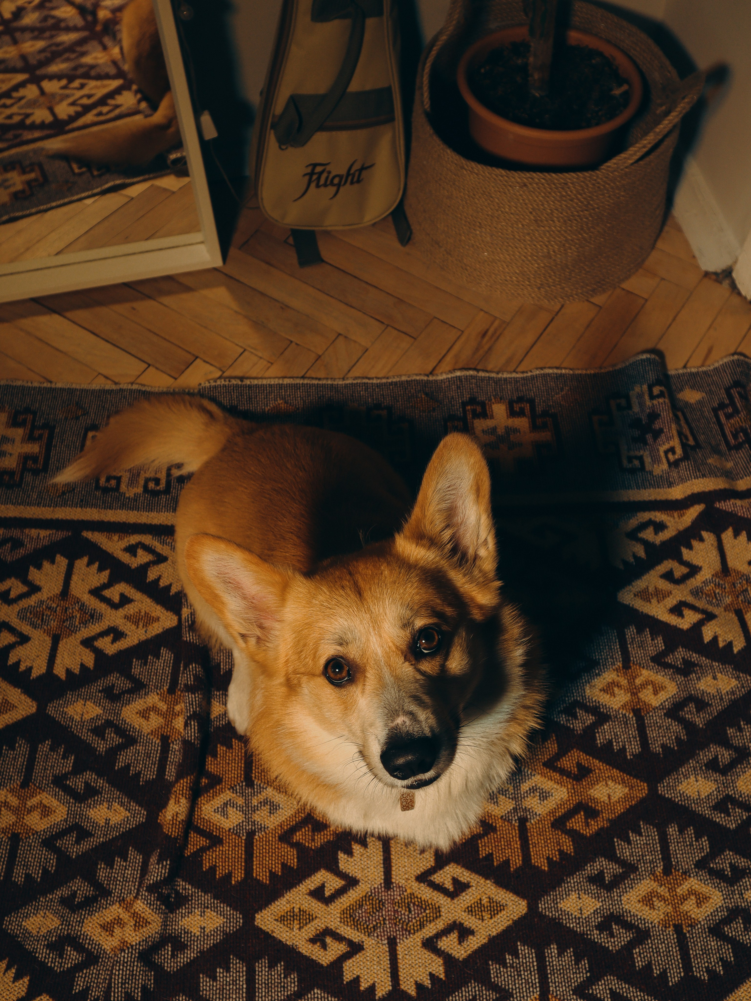 • Filming. Cinematic presets video/photo, visual, content creator Lina Pleshakova