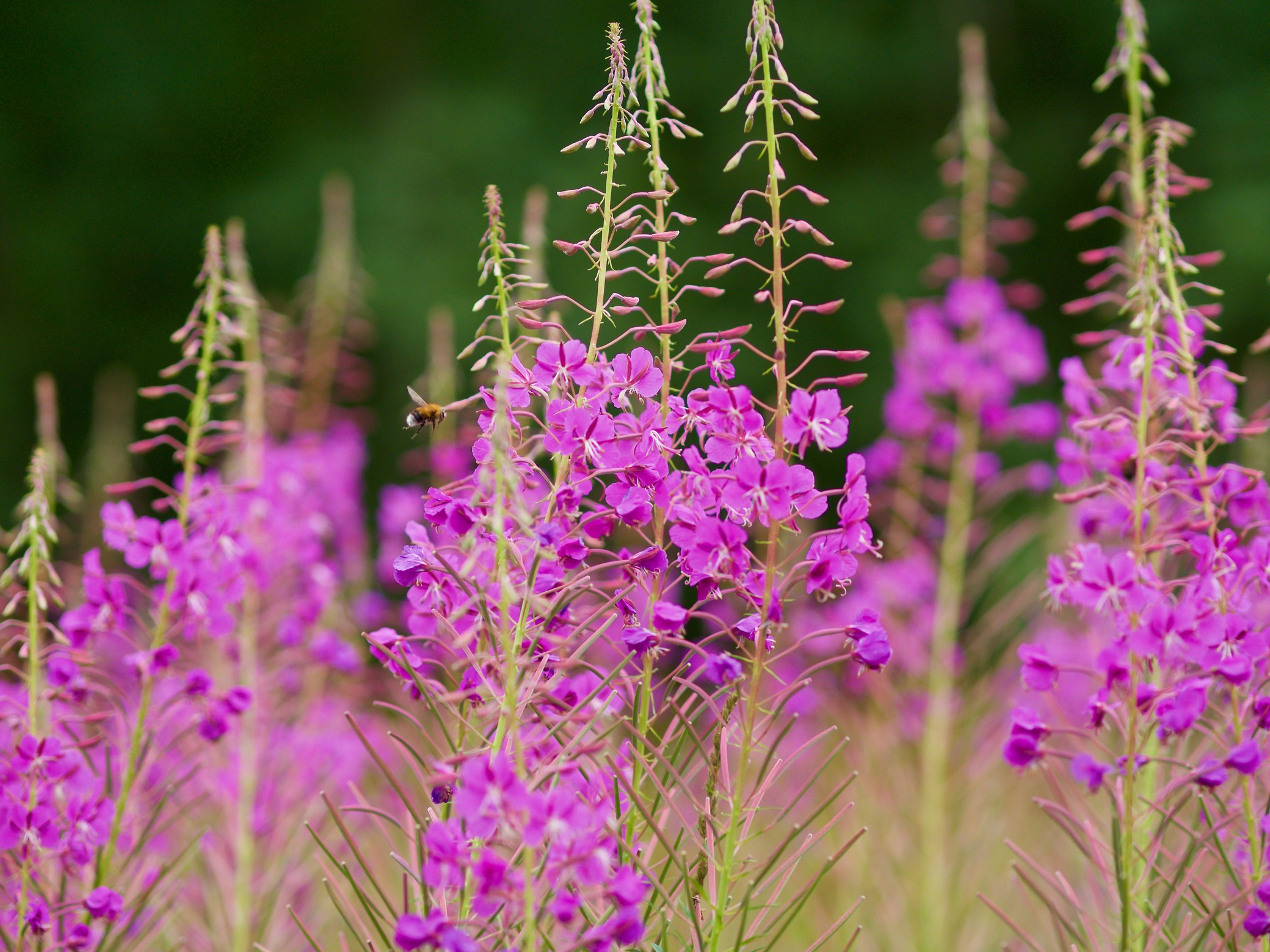 Читальный зал. Марина Рыбкина — Глубинная психология