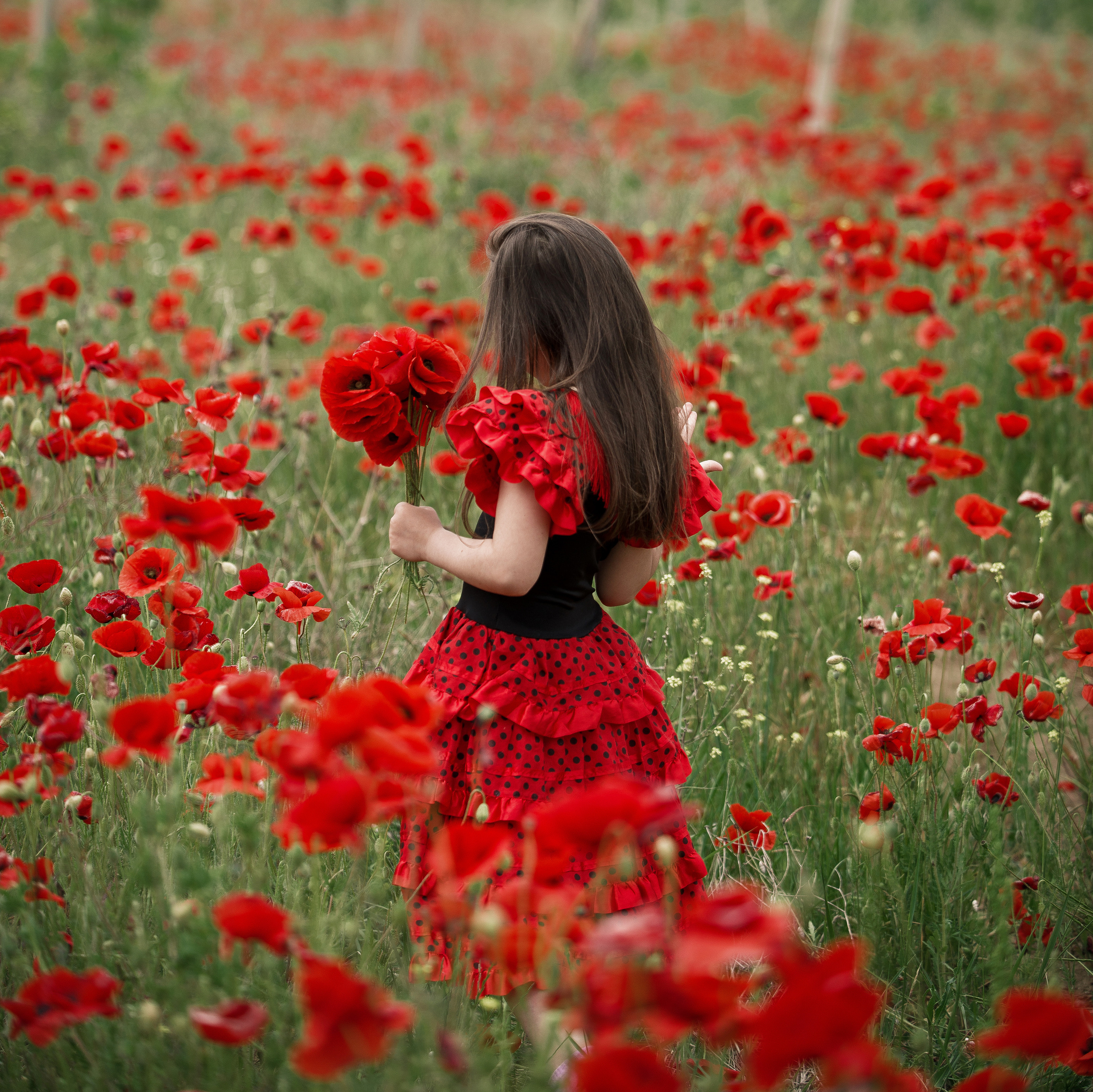 Фотосессия в маках в Бахчисарае, Севастополе, на Сахарной головке, Бахчисарае, Танковом, на Белой скале
