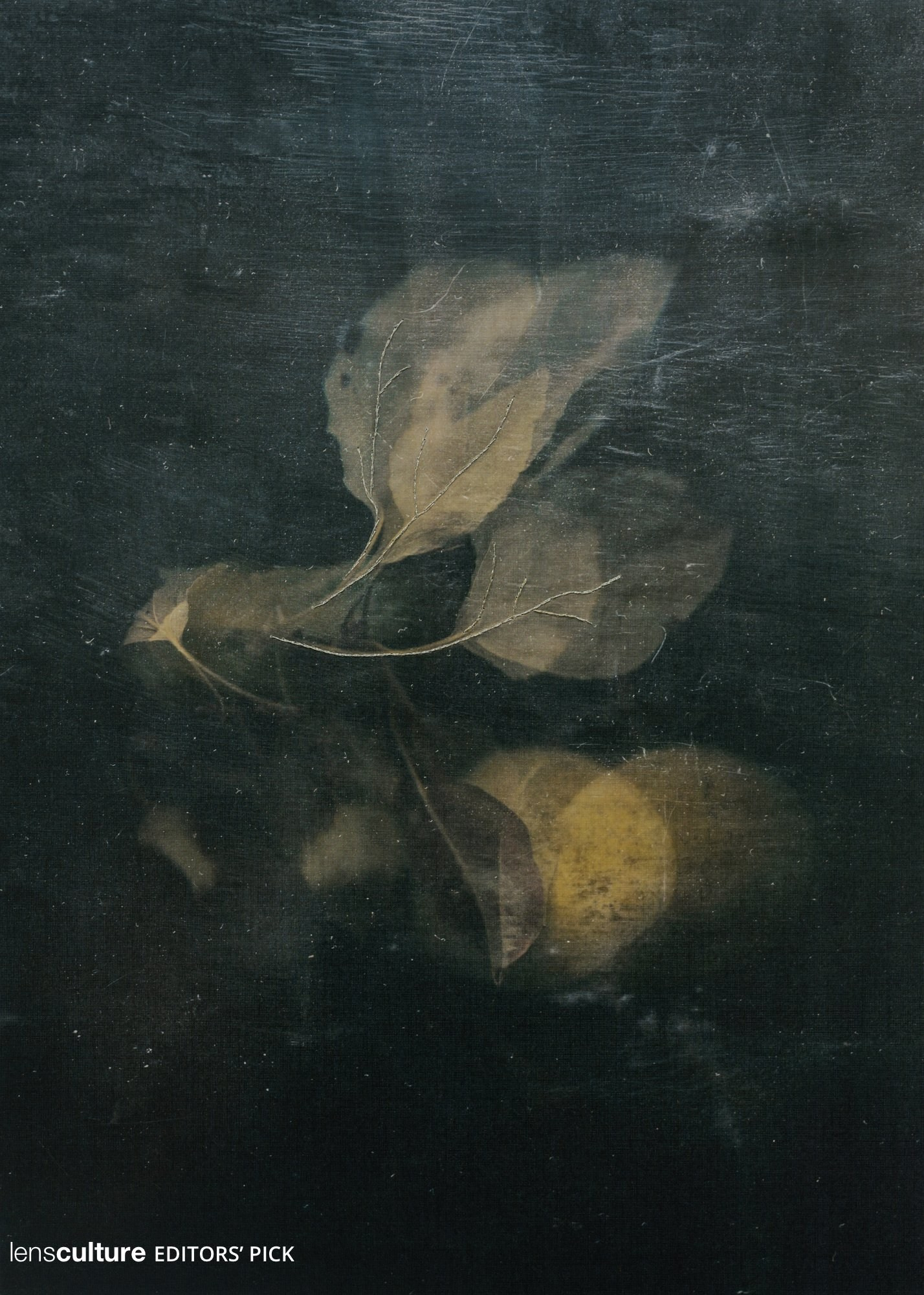 LensCulture. Фотограф Елена Хазина, Рязань