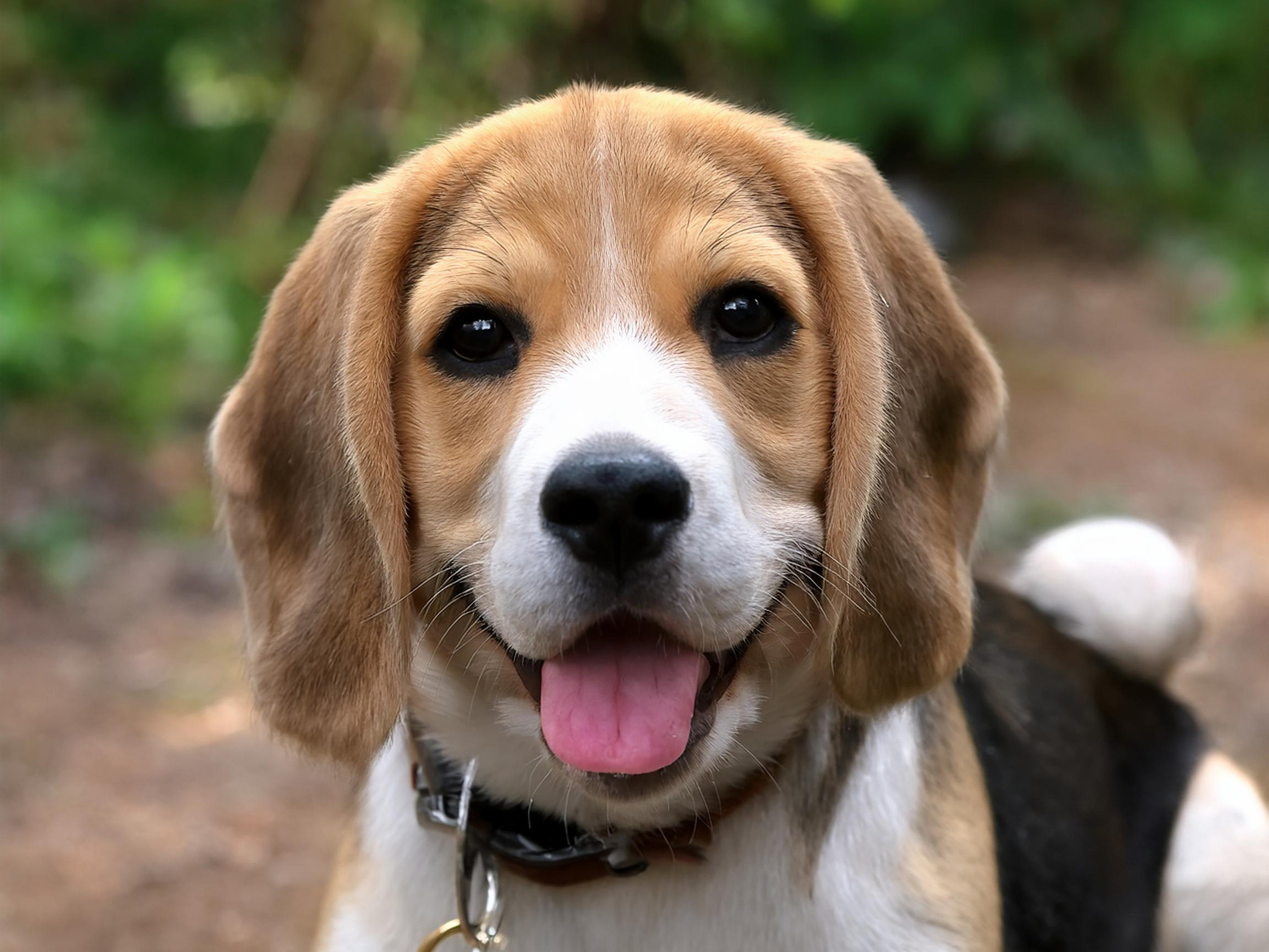 5 классных домашних фотопроектов. Safronov Ivan — a portrait photographer in Moscow