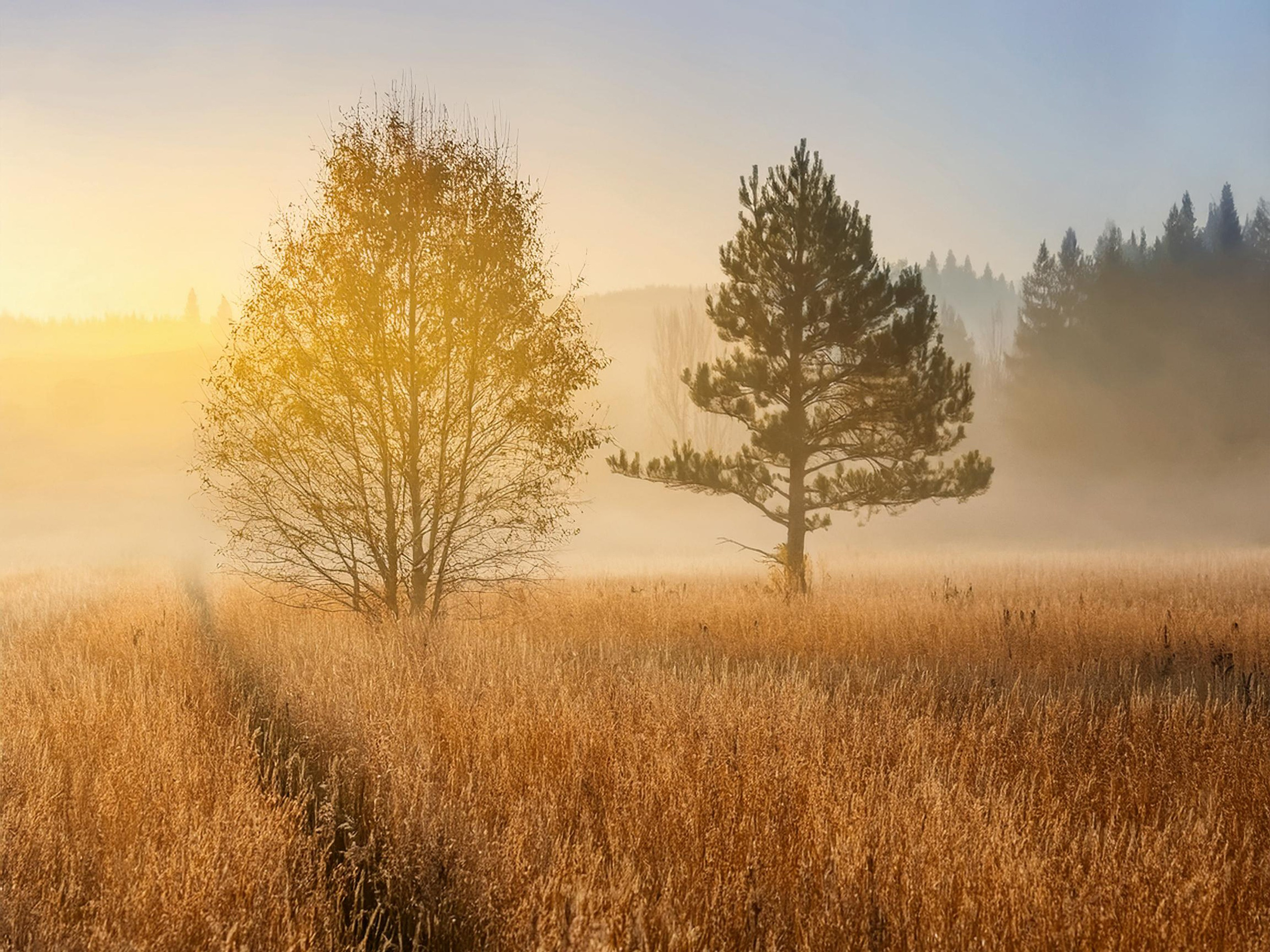 Что такое контровой свет и как им пользоваться?. Safronov Ivan — a portrait photographer in Moscow