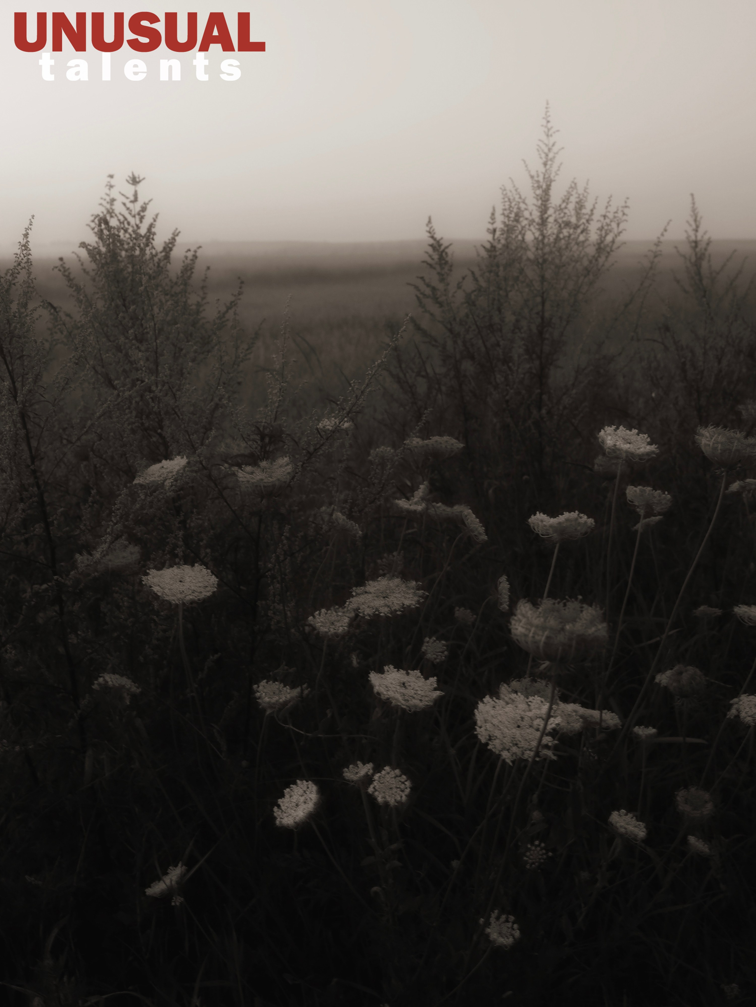 Irina Mosko (Belarus). UNUSUAL TALENT magazine