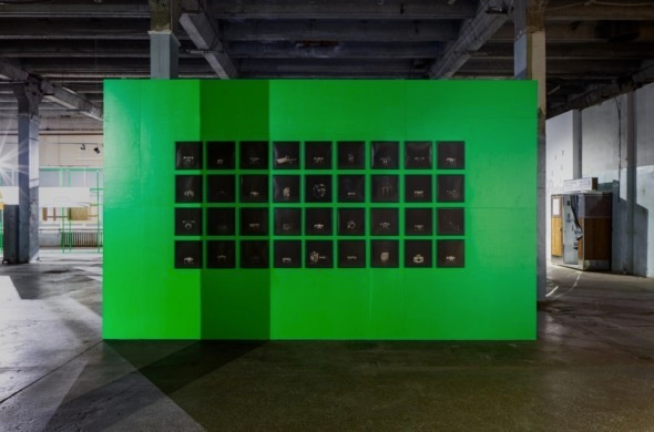 Arsenal. Anastasia Tsayder