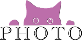 elenaantonovskaya.ru