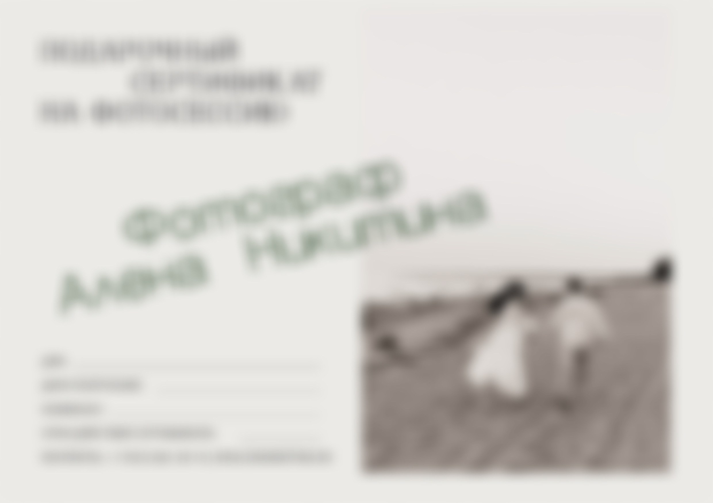 Сертификат. Фотограф в Санкт-Петербурге Алёна Никитина