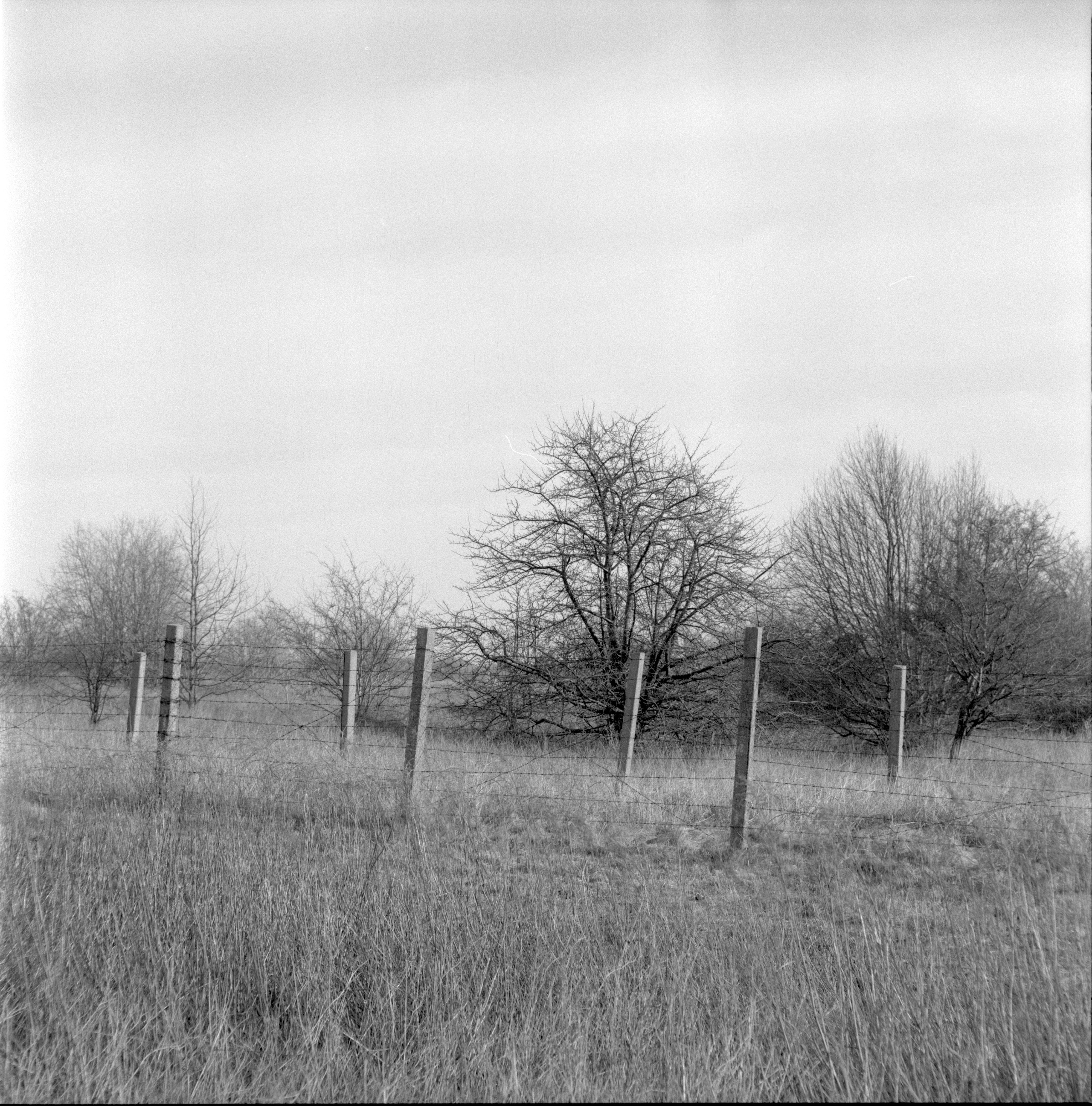 фотография автор Юлия Горбунова, проект День без числа