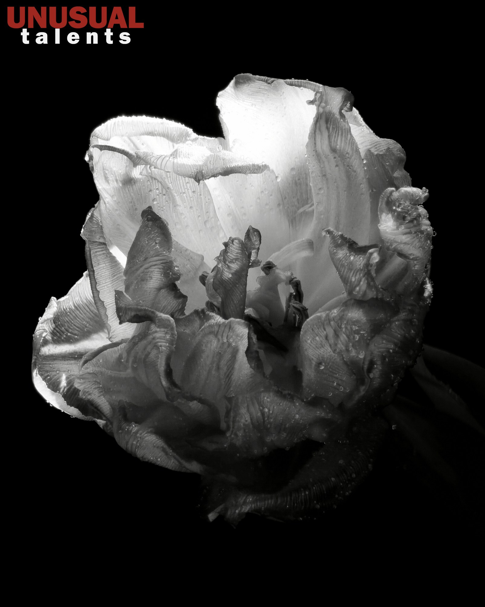 Irina Strokova. UNUSUAL TALENT magazine