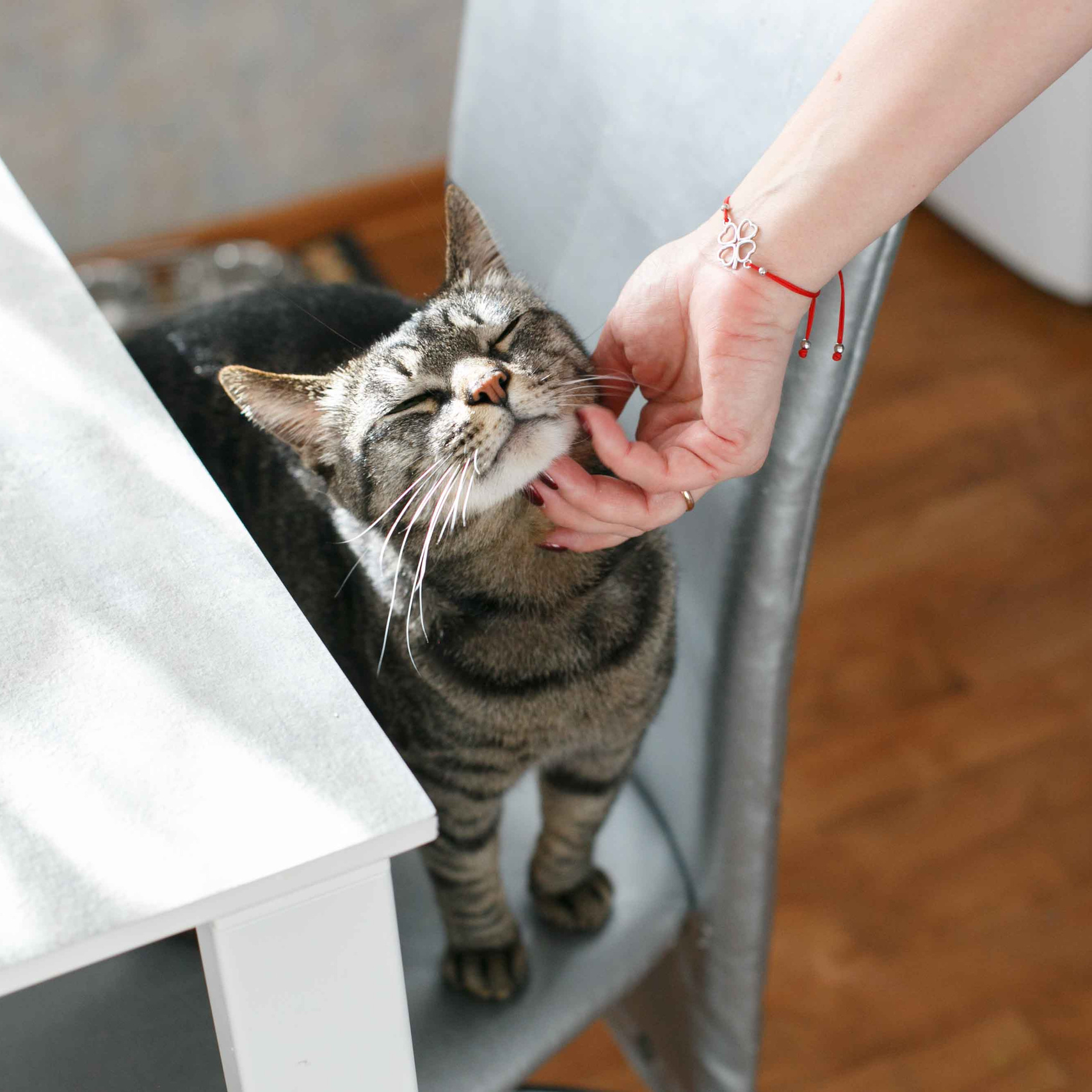 Семья ДОМА И НА ПРОГУЛКЕ. Фотограф Евгения Лондкевич