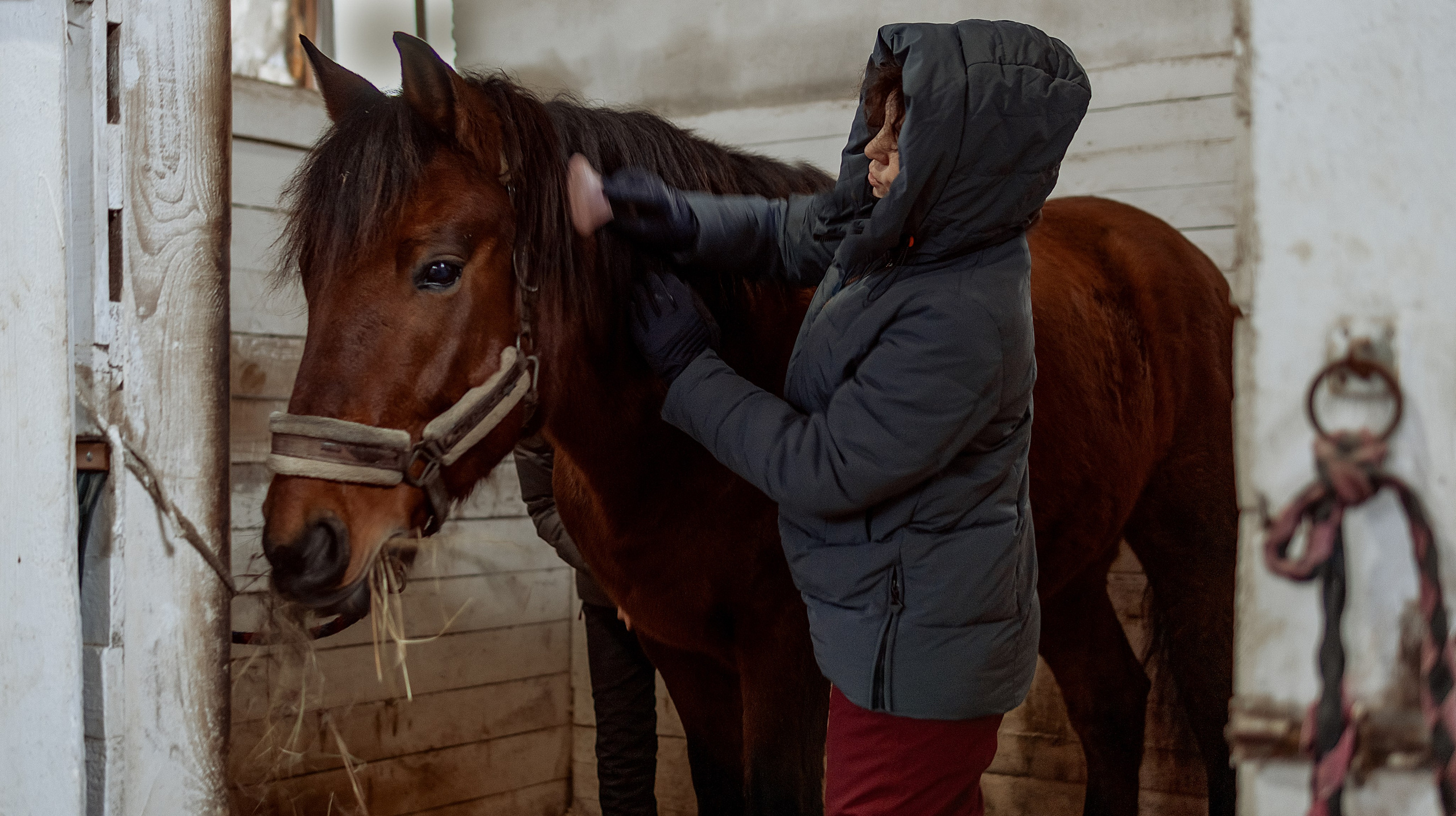 Конноспортивная школа Добрый конь город Белоозерский