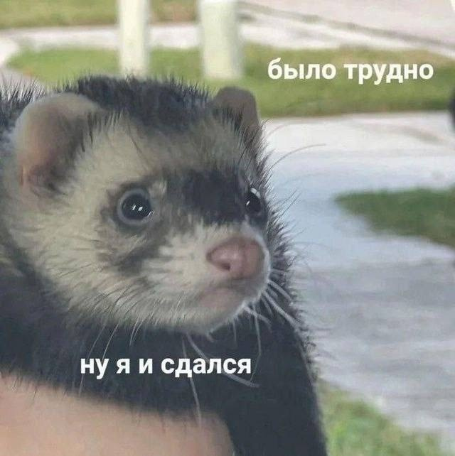 SMM. Маркетолог в Москве, специалист по коммуникациям Аня Смоляга