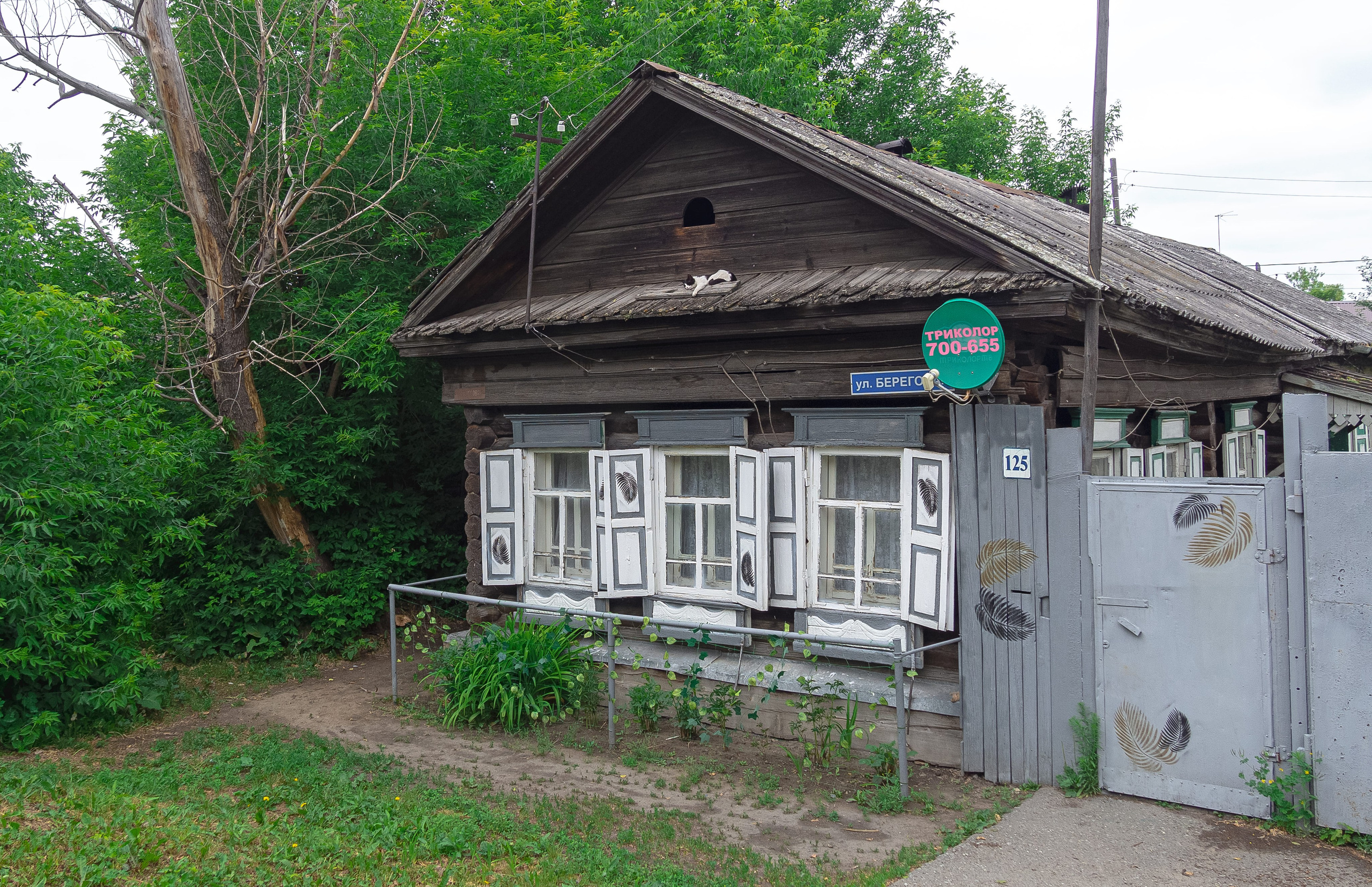 Тут безопасно: Даша проверила! Или сказ о том, как Даша покоряла Старую Зареку