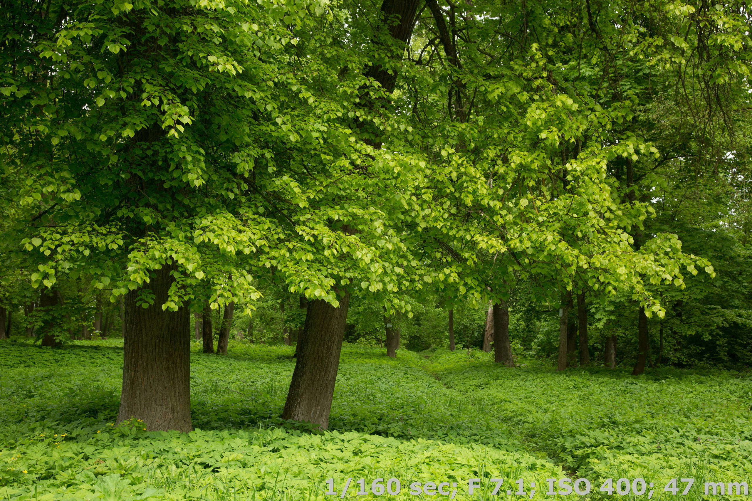 Съемка в ручном режиме при постоянном свете. Фотоцентр Перспектива: выпускные альбомы, фотошкола, курсы фотографии