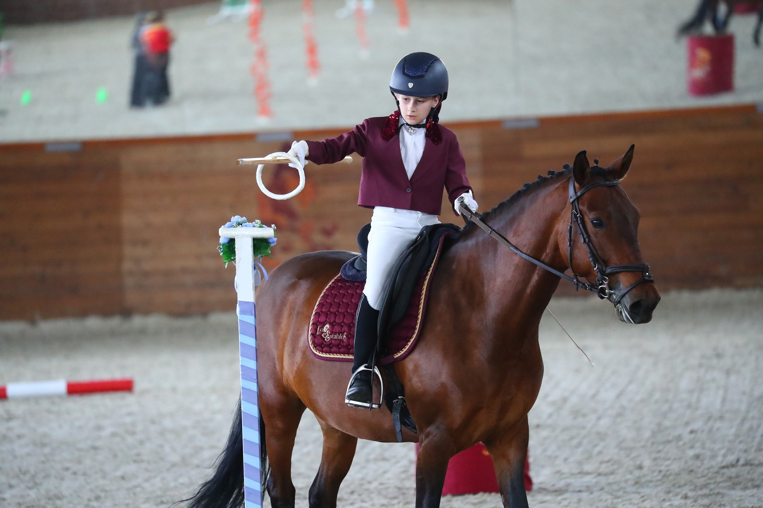 Календарь стартов по РВ АРВР. Liana Antanovich | Equestrian Strategies
