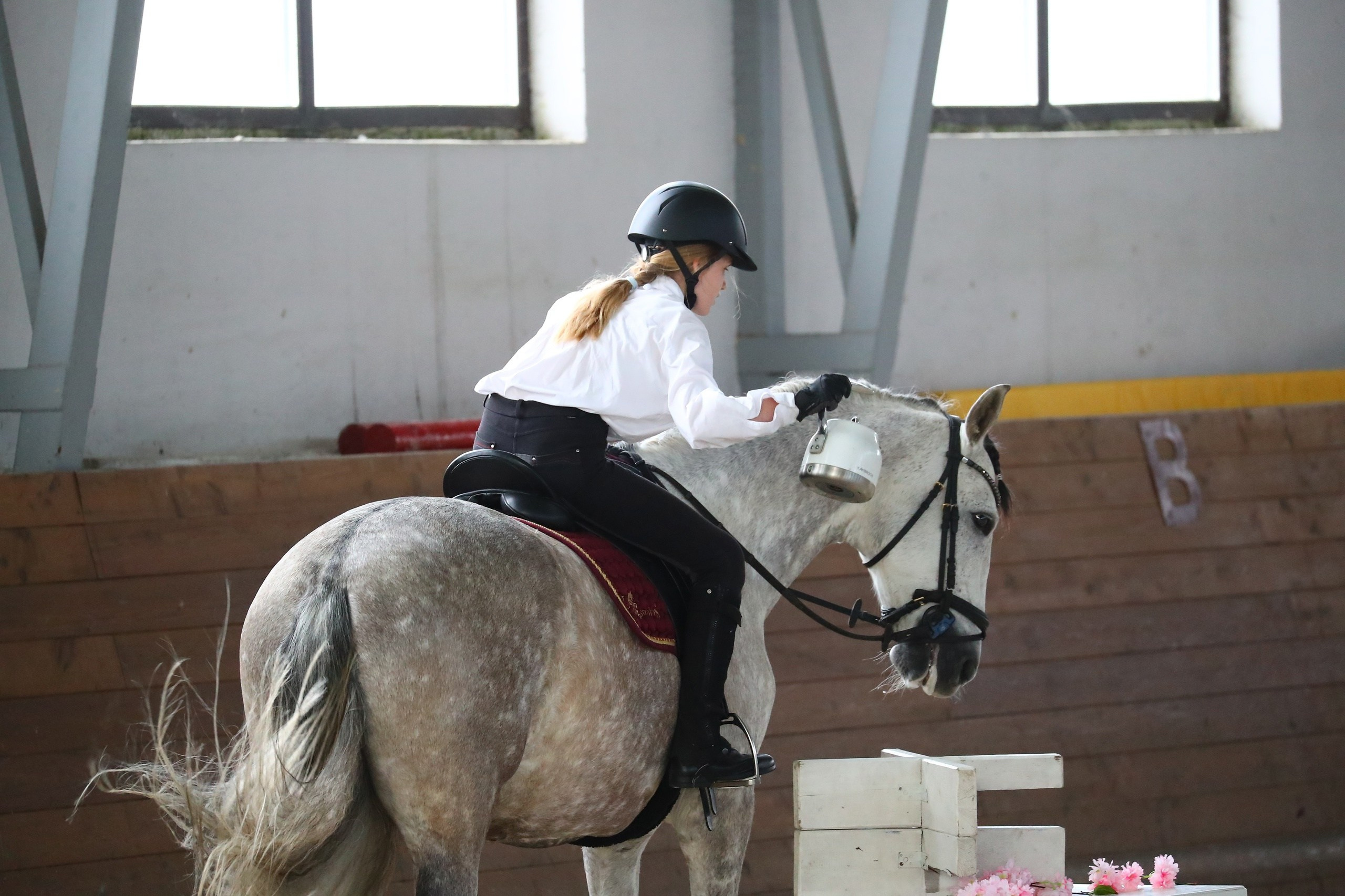 Календарь стартов по РВ АРВР. Liana Antanovich | Equestrian Strategies