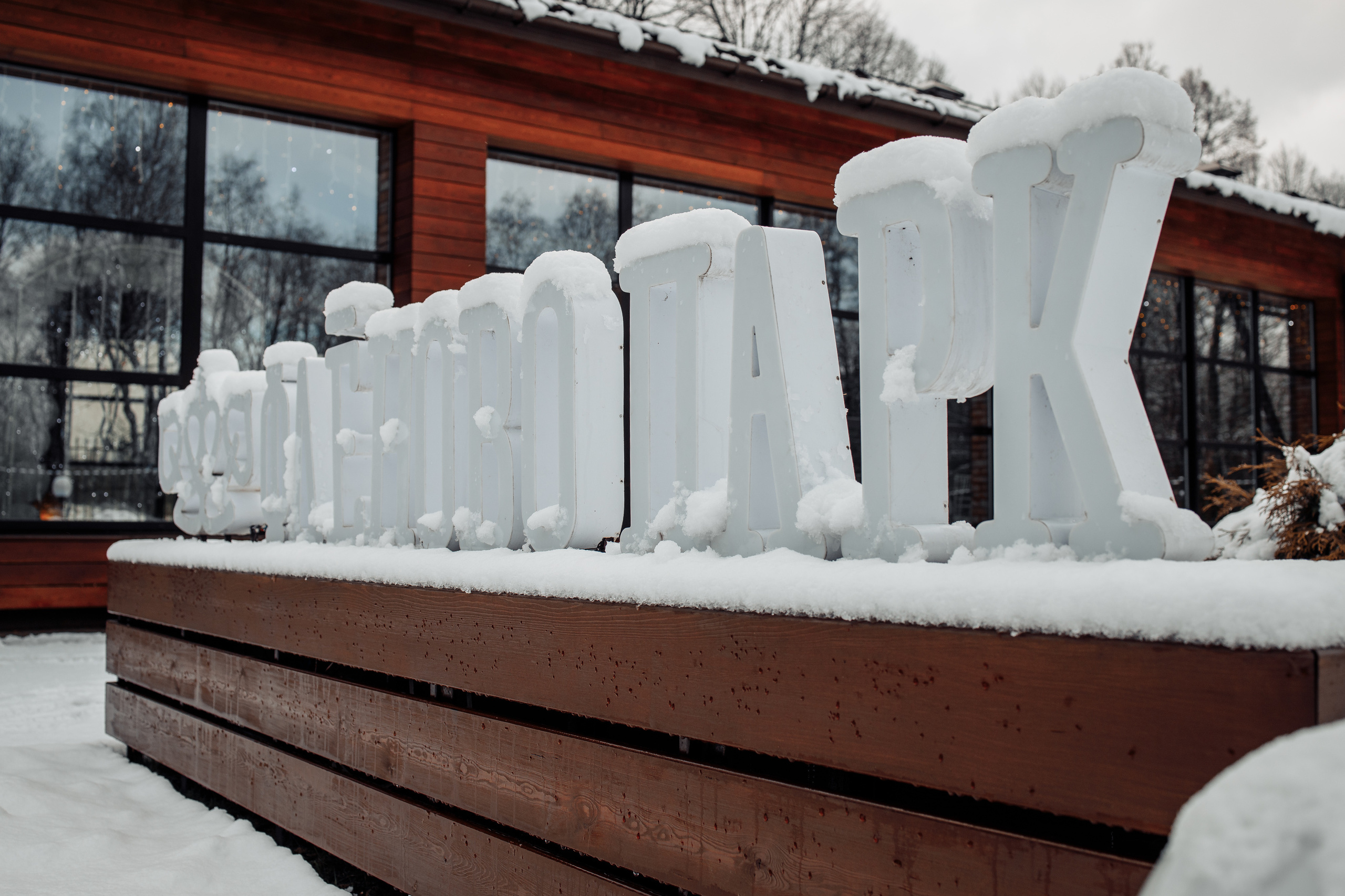 Свадьба зимой Смоленск. Свадебный фотограф Вашкевич Денис