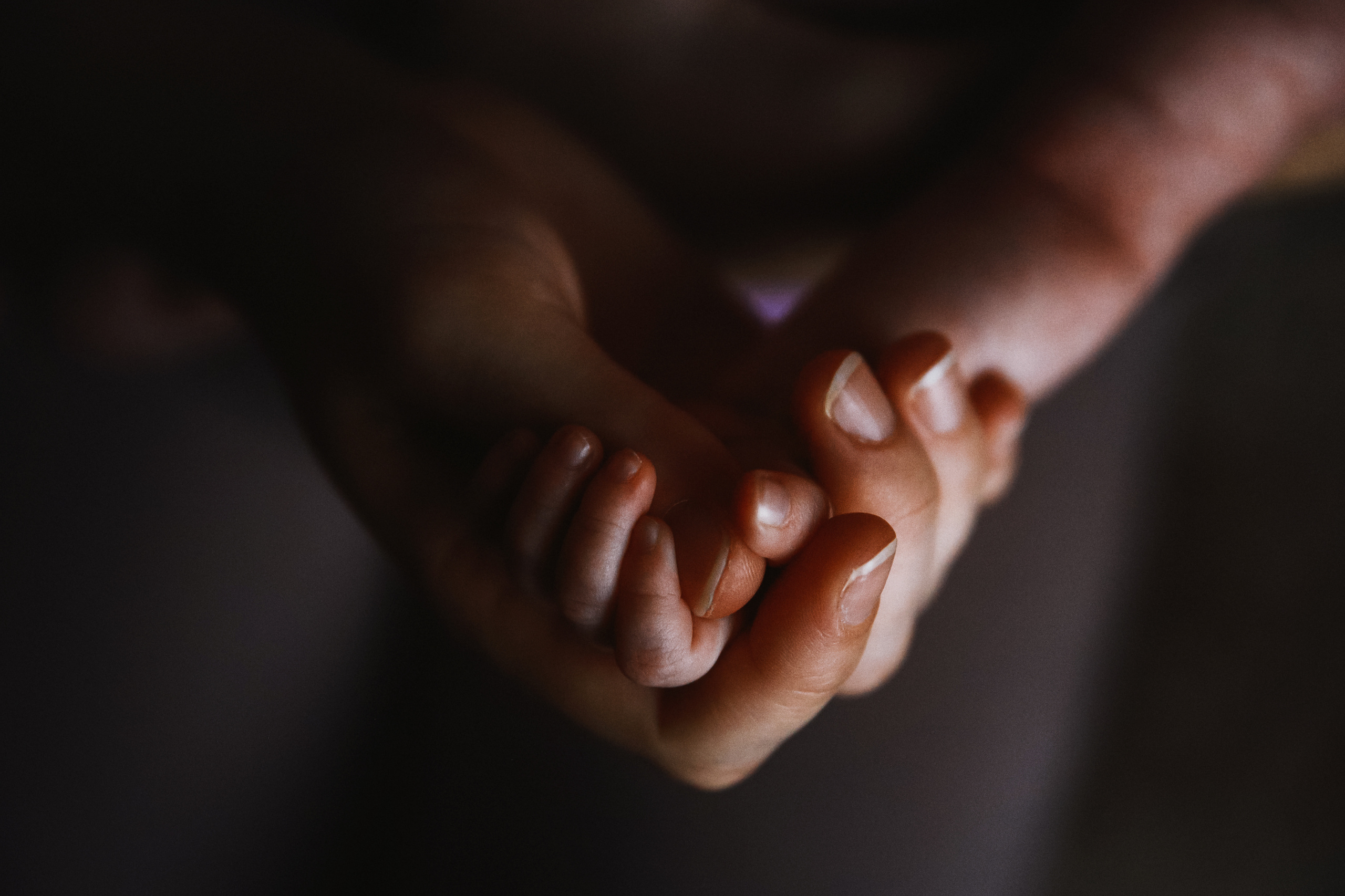 КОНТАКТЫ. Детский и семейный фотограф в Москве Алёна Шестунова