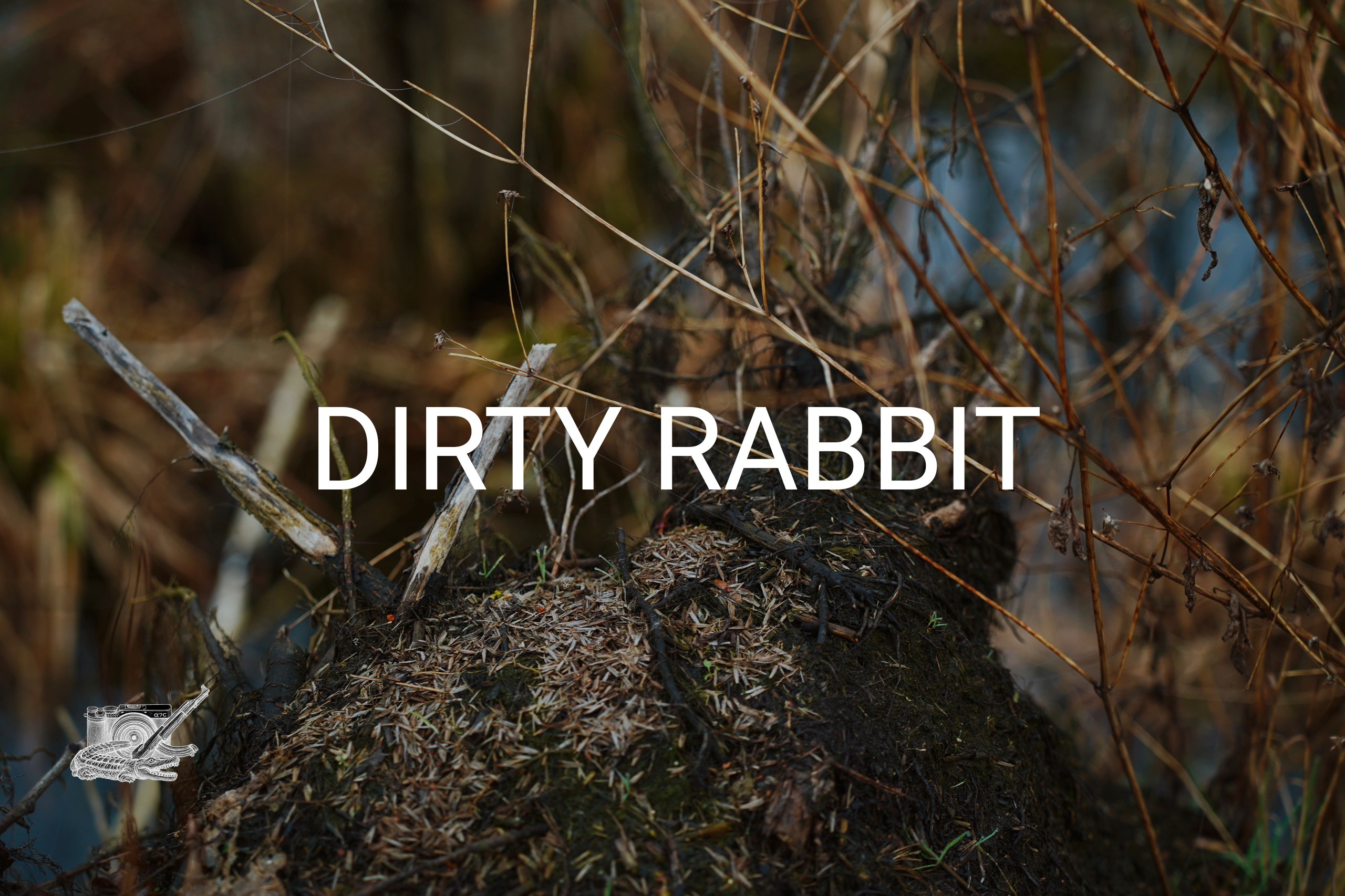 DIRTY RABBIT. Фотограф и визуальный художник в Туле / Николай Рейзвих