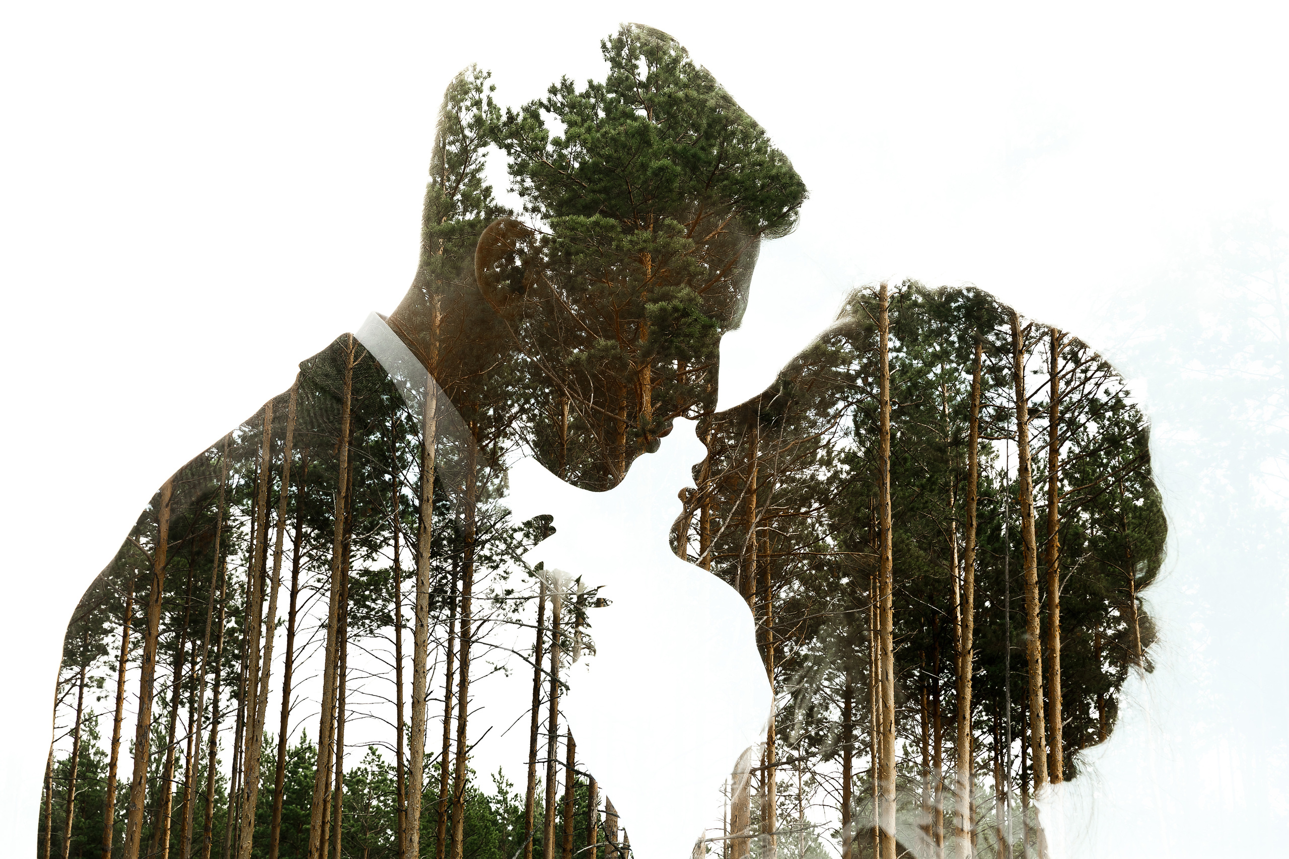 Контакты. Свадебный и семейный фотограф Семиколенов Андрей