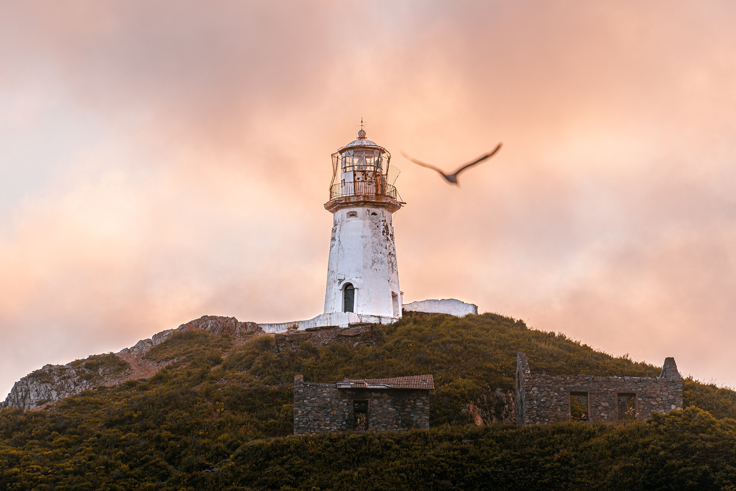 Маяк Рудный. Ivan Zaitsev (IZIART) — creating a cultural code through photo and video