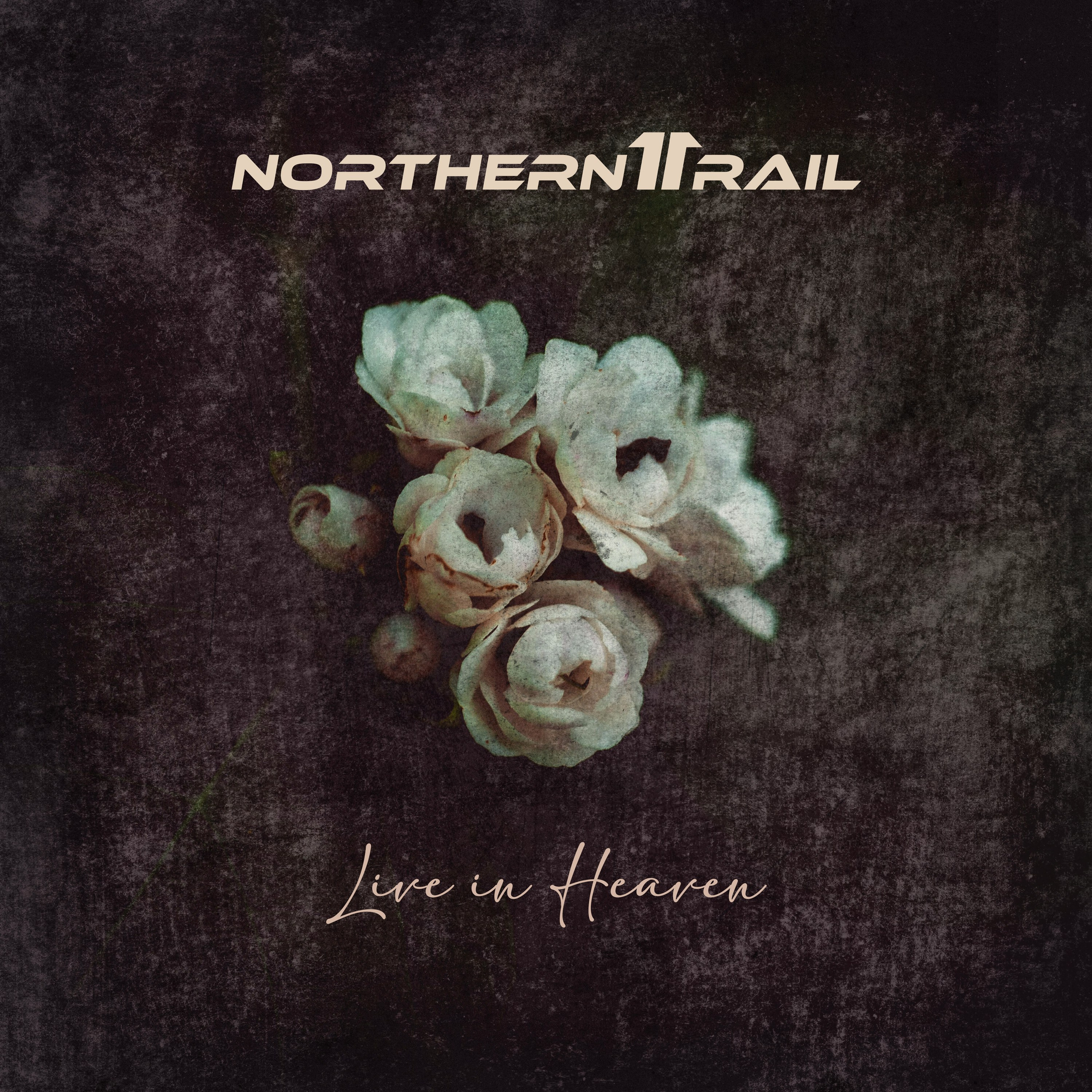 ОБЛОЖКИ АЛЬБОМОВ. Soulstamina ~ graphic designer & visual artist from St.Petersburg