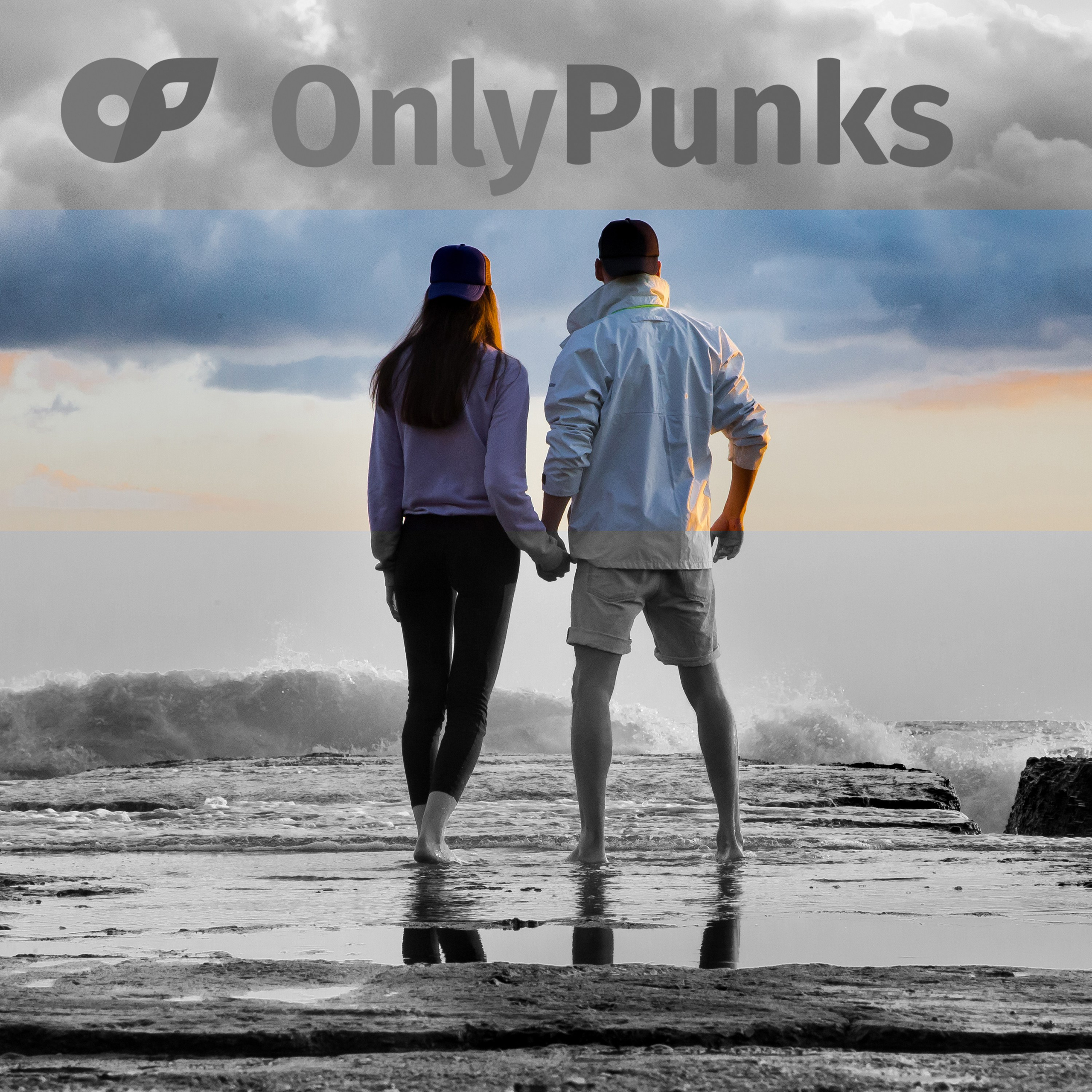 OnlyPunks — российский проект электронной танцевальной музыки