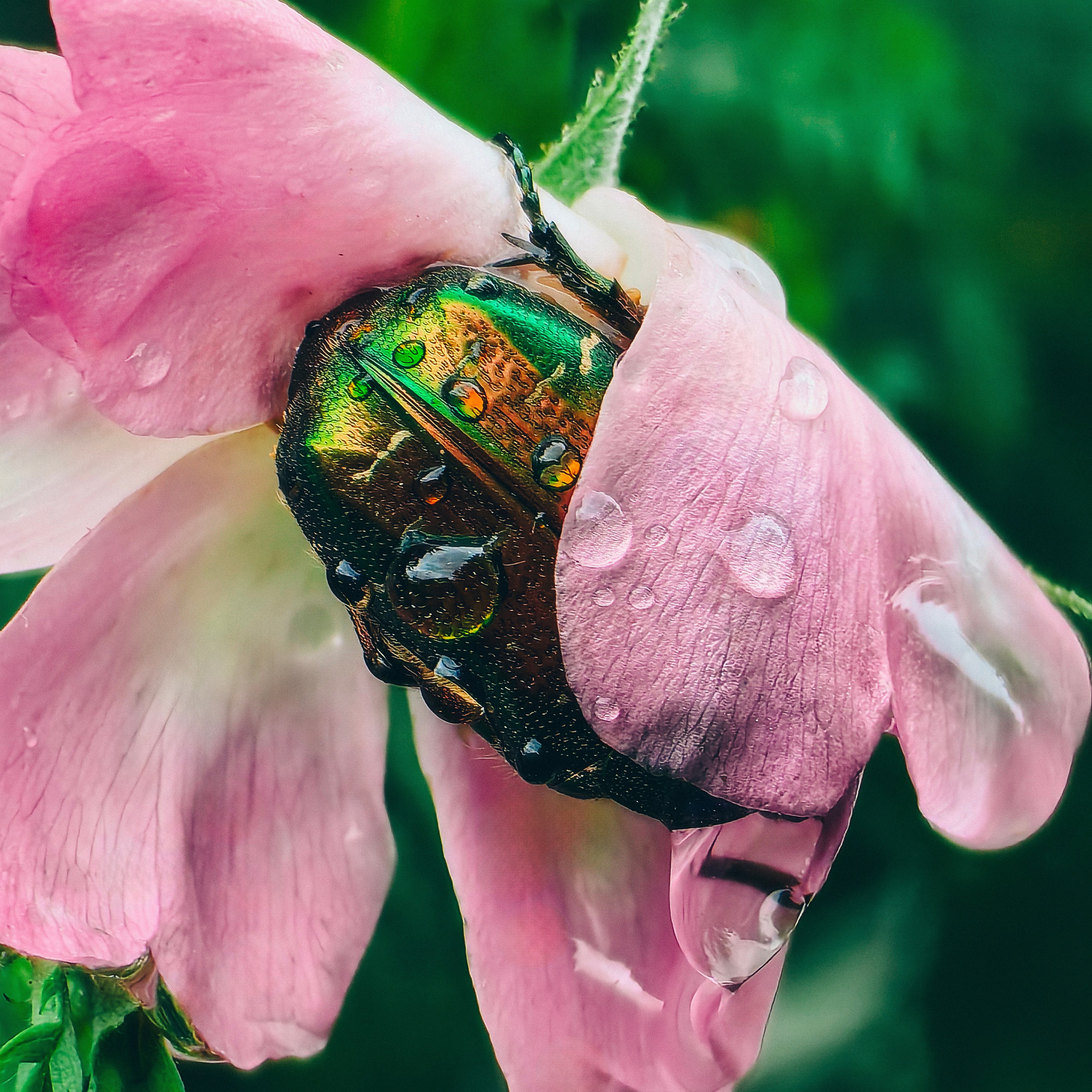 О главном. Творческая Таты Пахомовой