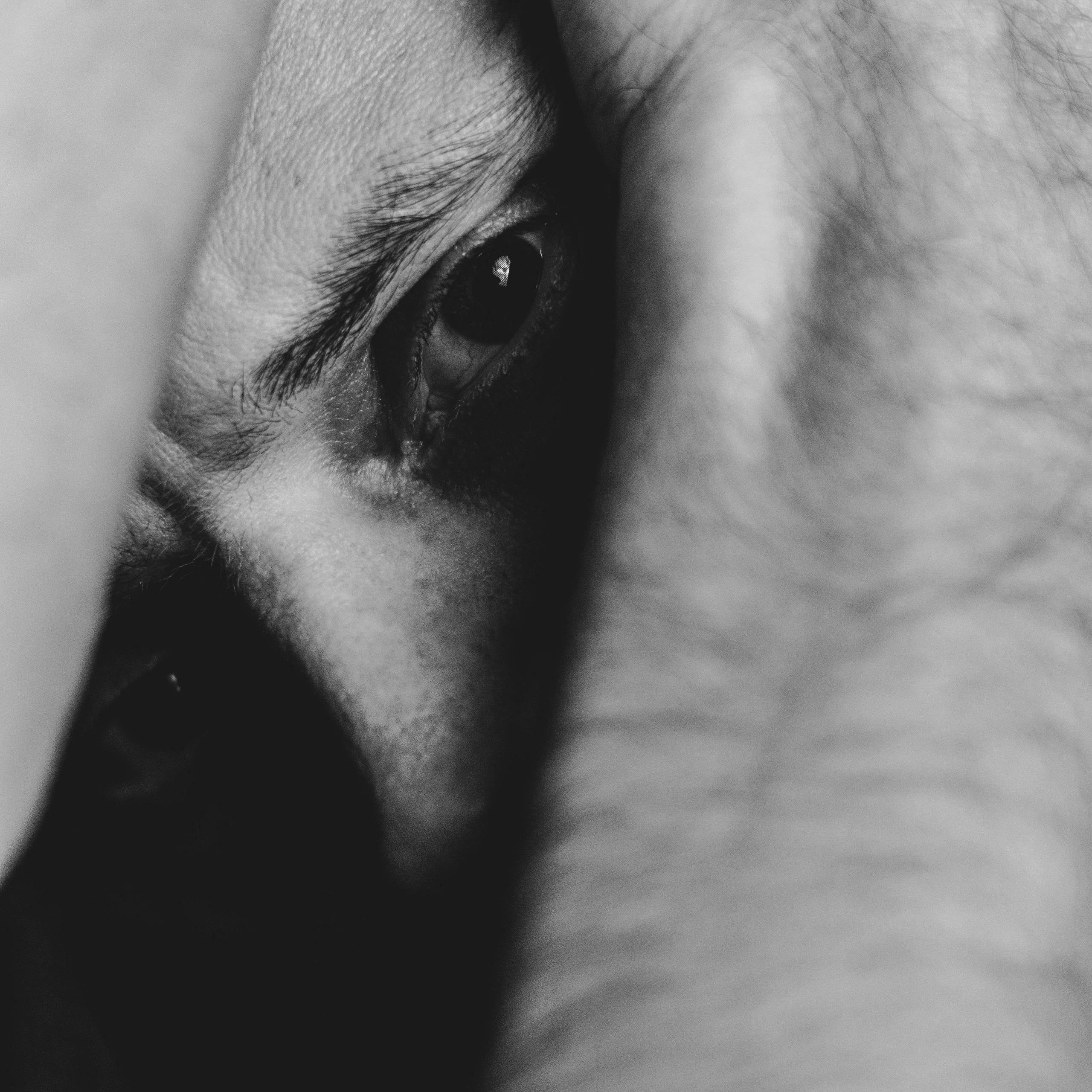 Портретный фотограф в Санкт-Петербурге Кирилл Сафаров