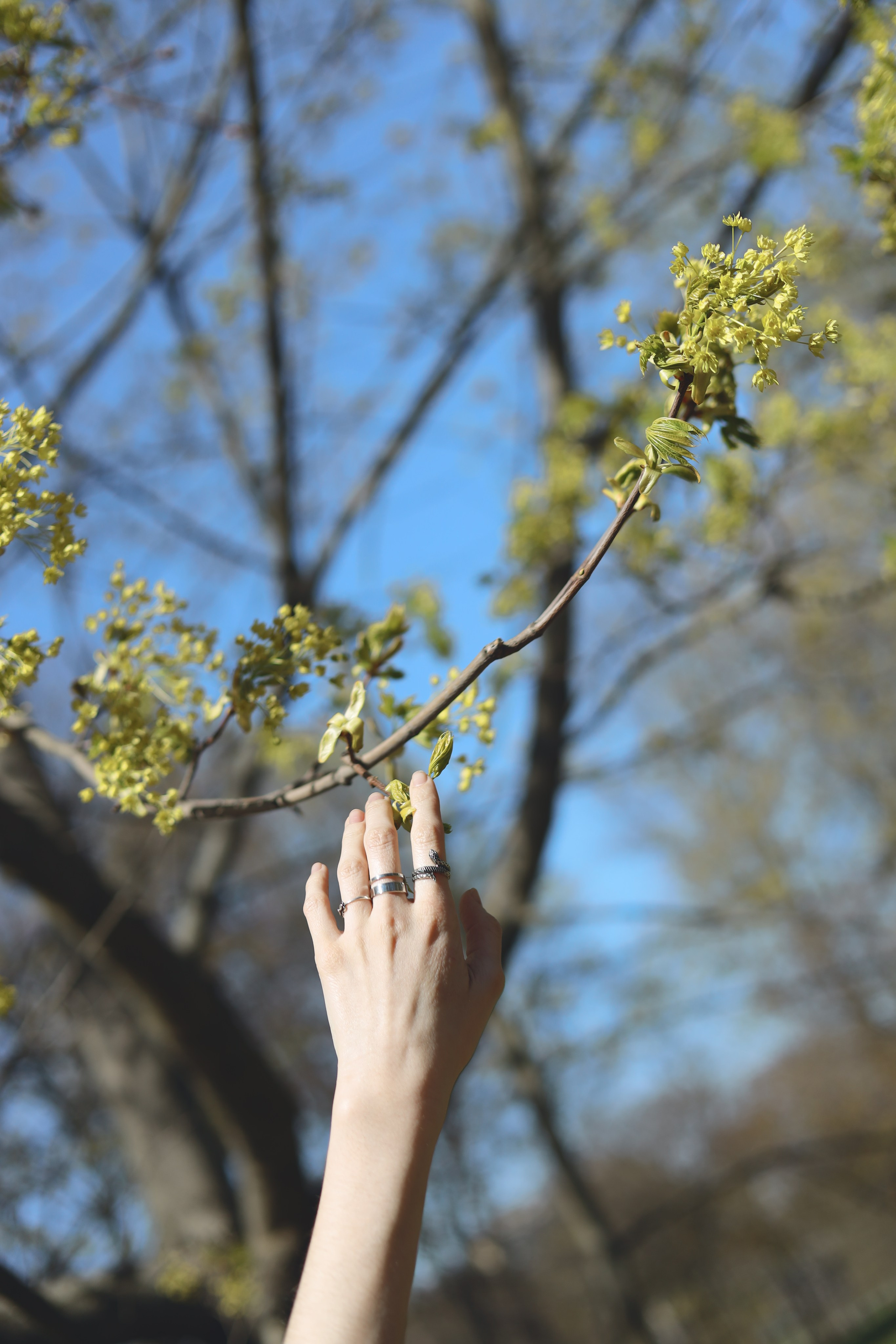 Весна в парке. Фотограф Маша Филиппова
