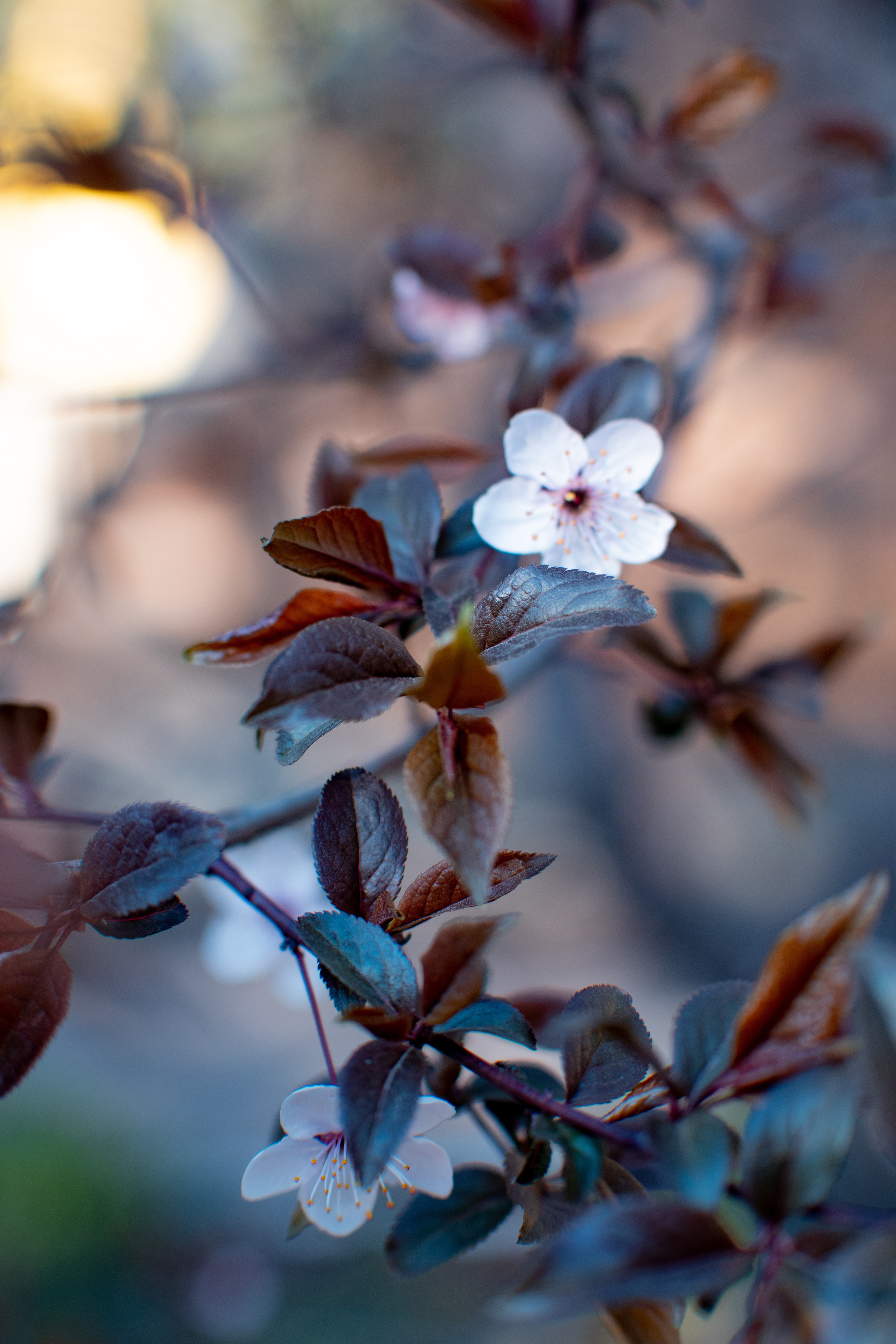 Контакты. Фотограф Екатерина Советкина Самара