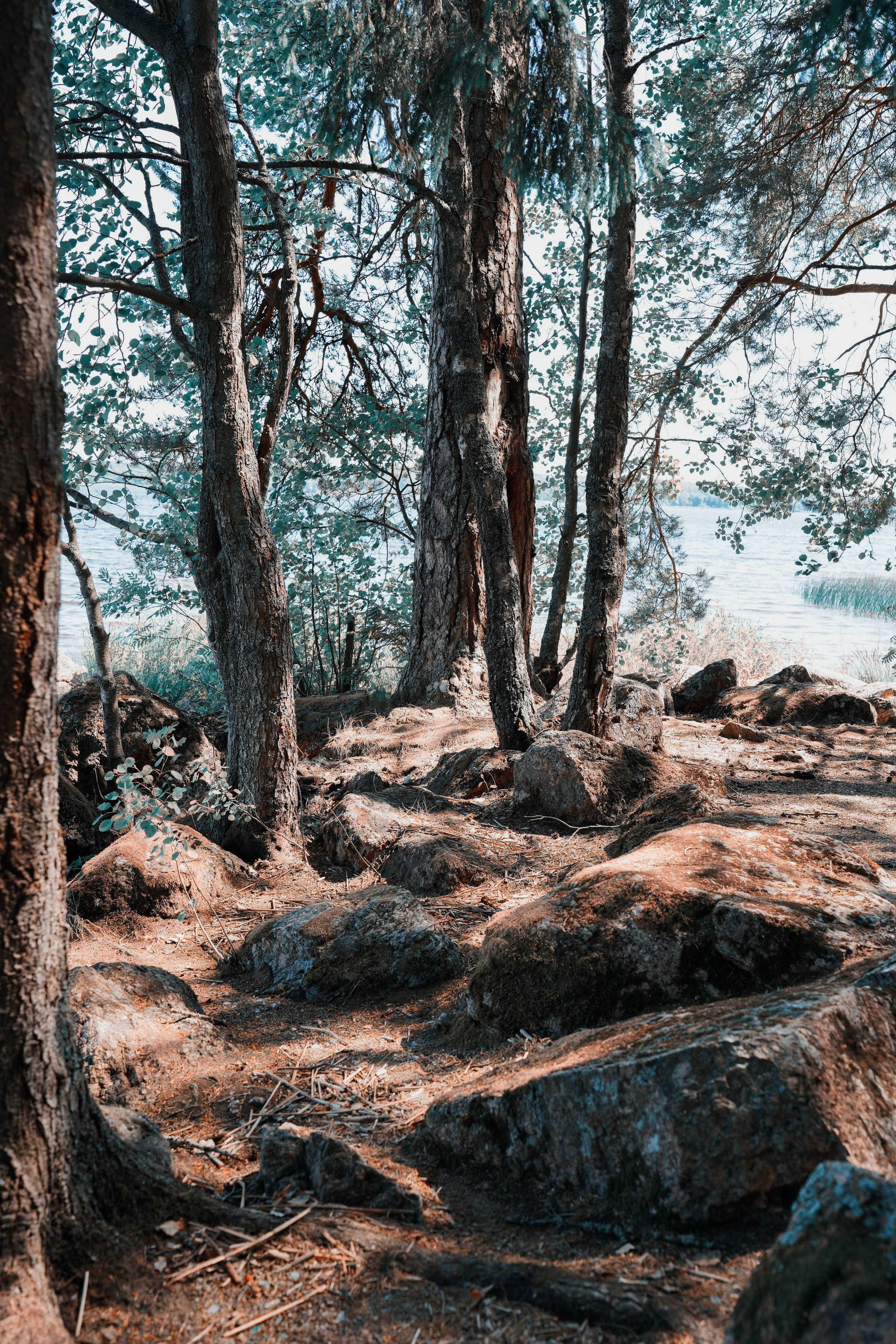 Катя Шиня. Фотограф из Москвы — DASHA NOVA | Авторская фотография в разных жанрах