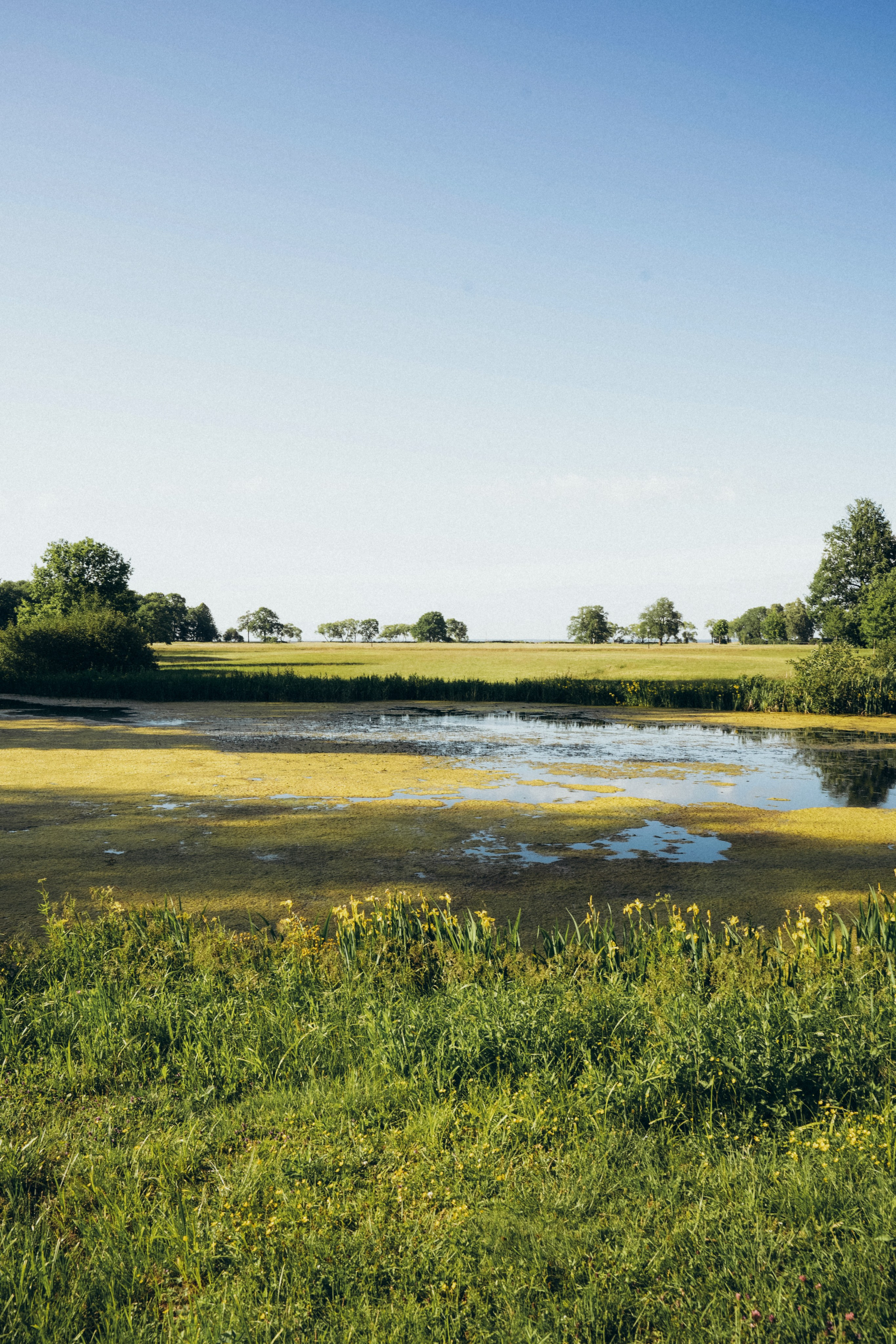 Яна. Фотограф из Москвы — DASHA NOVA | Авторская фотография в разных жанрах